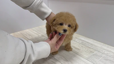 お問合せネーム・705ちゃんの写真 8