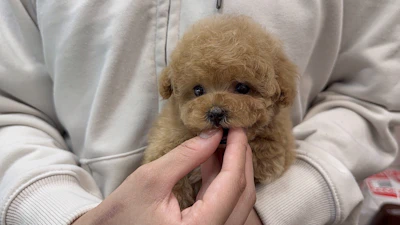 お問合せネーム・587ちゃんの写真 5