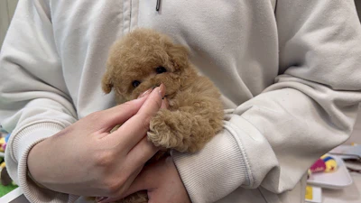 お問合せネーム・587ちゃんの写真 3