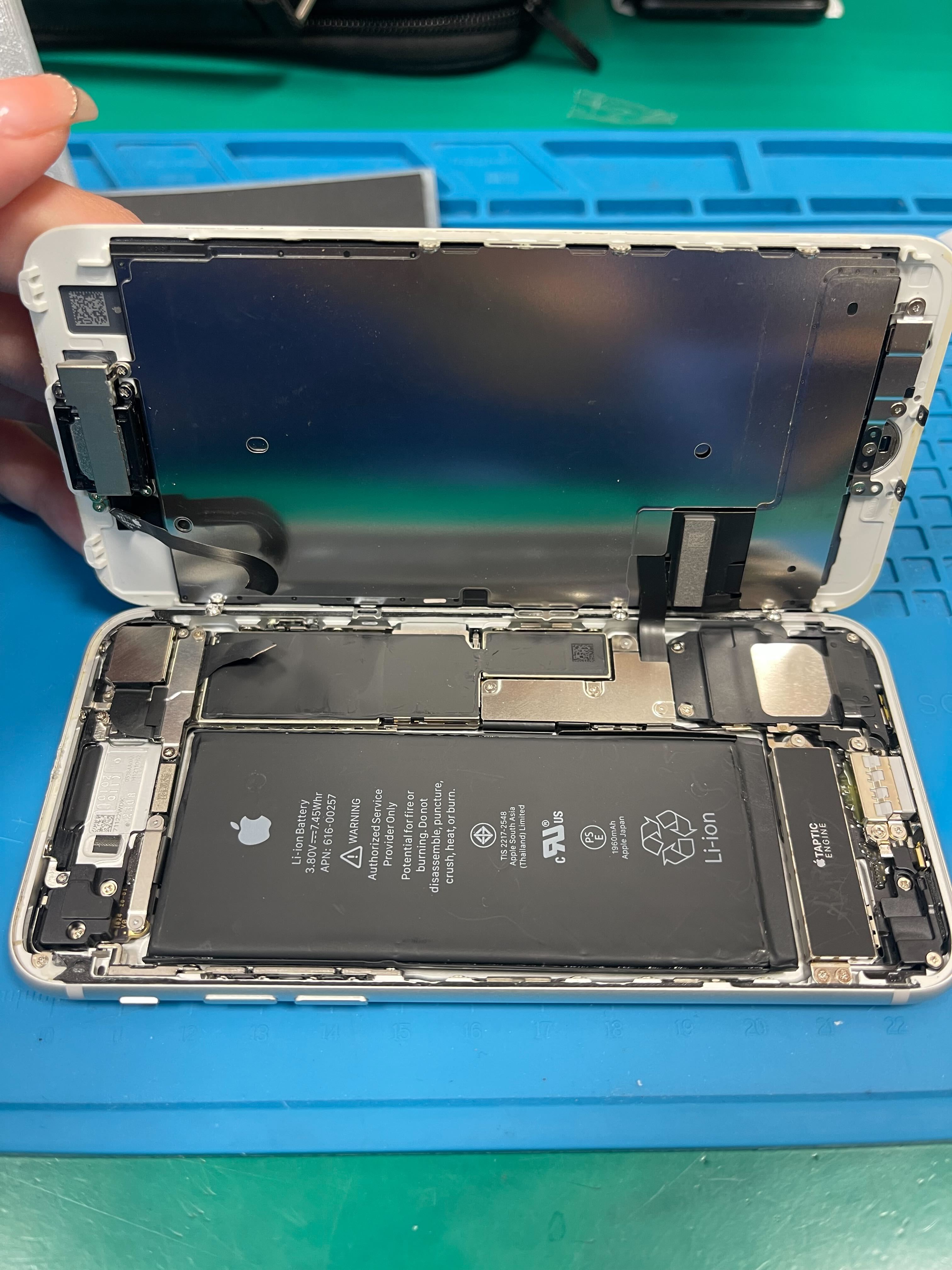 iPhone7　自己修理　自己分解
