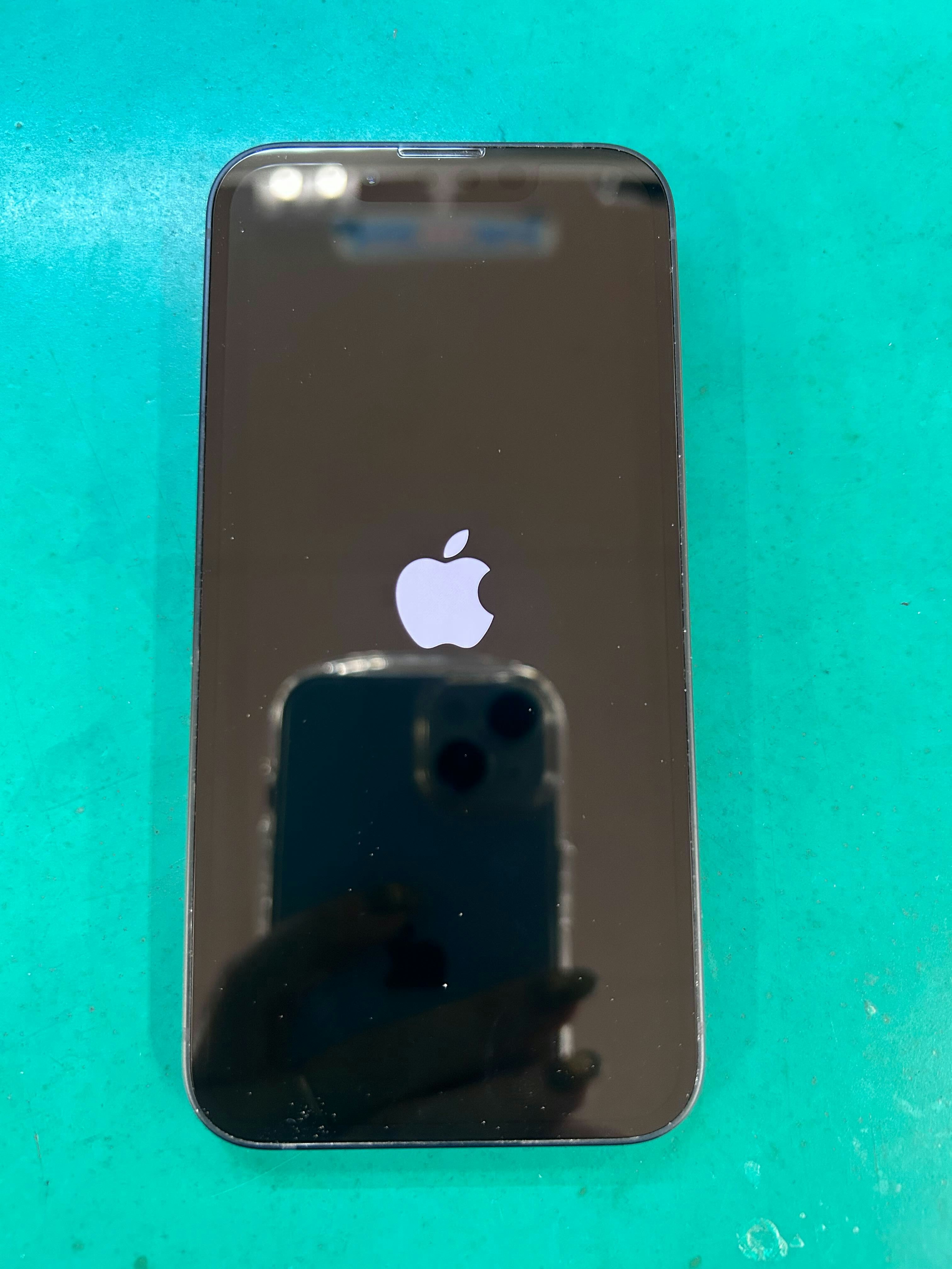 iPhone13mini 起動不良