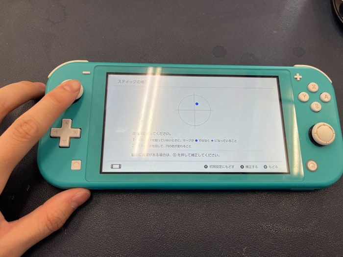 SwitchLite Switch Lite スイッチライト スティック 押し込み