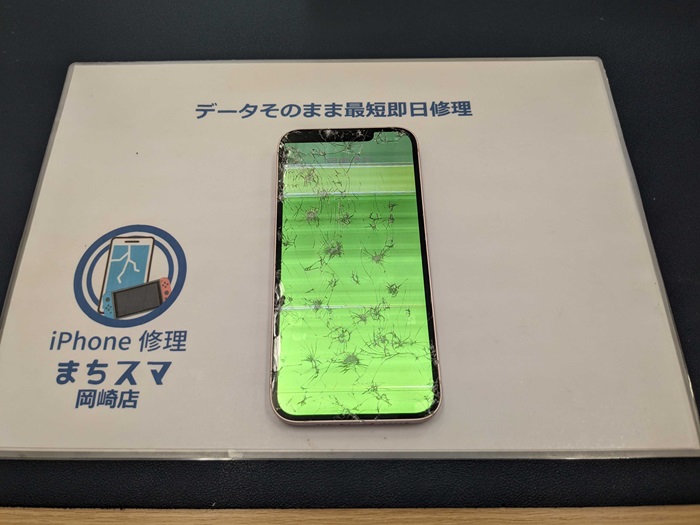 PXL_20240412_064422759.MP.jpg?