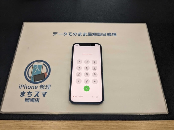 iPhone アイフォン 水没 水濡れ カメラ 曇り くもり 水没修理 水没復旧 水没洗浄乾燥 故障 壊れた 分解 修理 直す 治す データ取り出し データ取りたい データ復旧 起動不良 起動しない 電源入らない