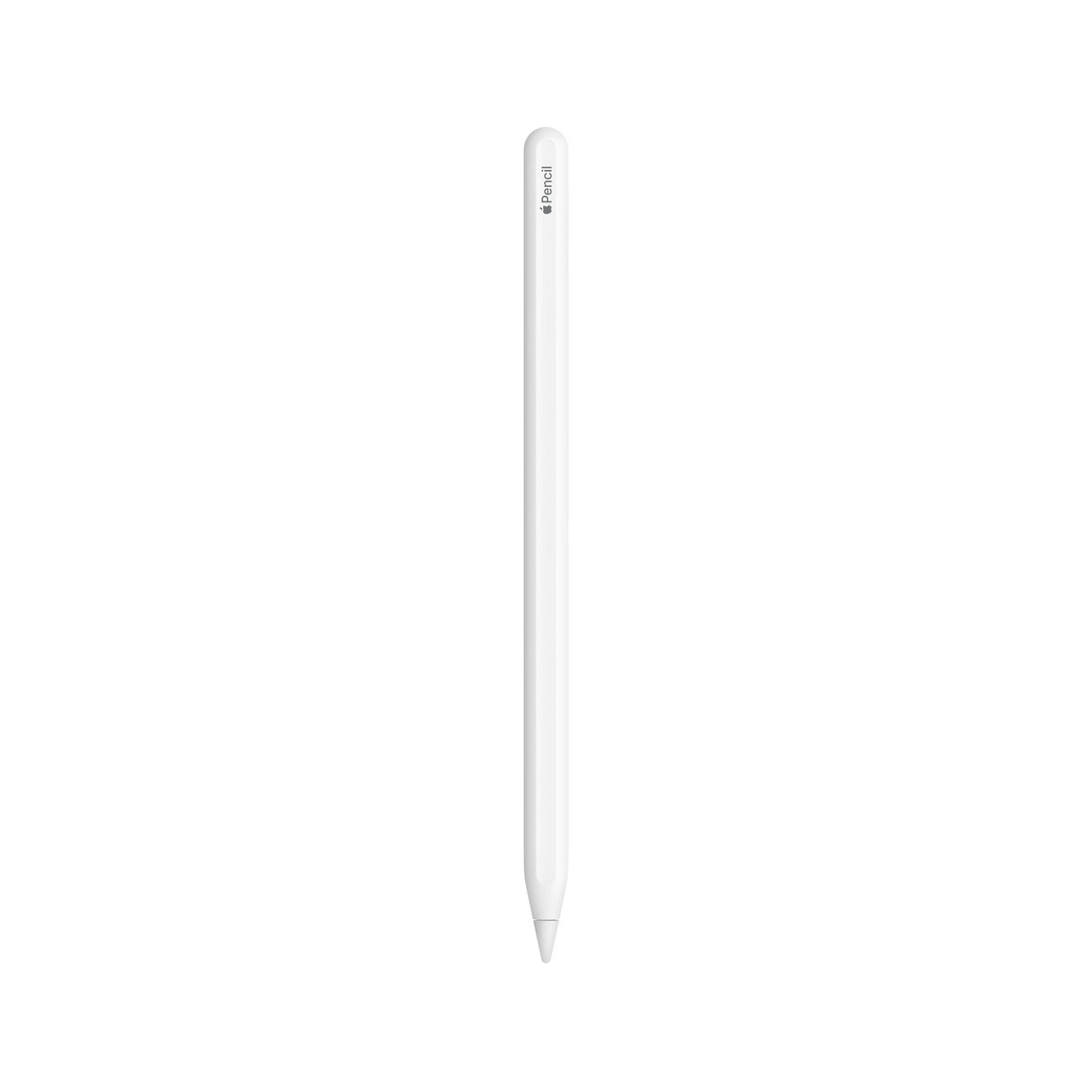Apple Pencil（第2世代）