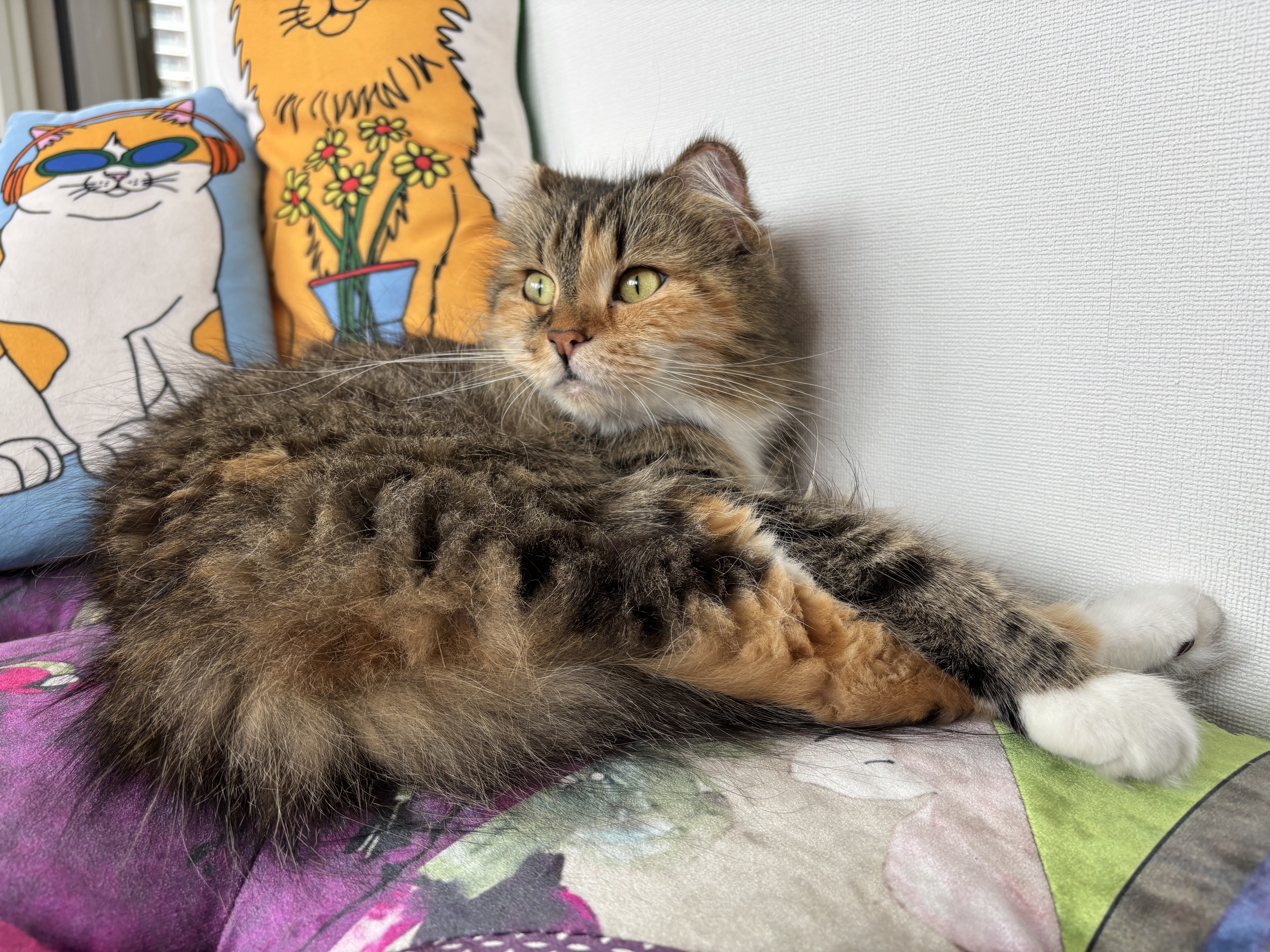 ねこママ ママスママガジン
