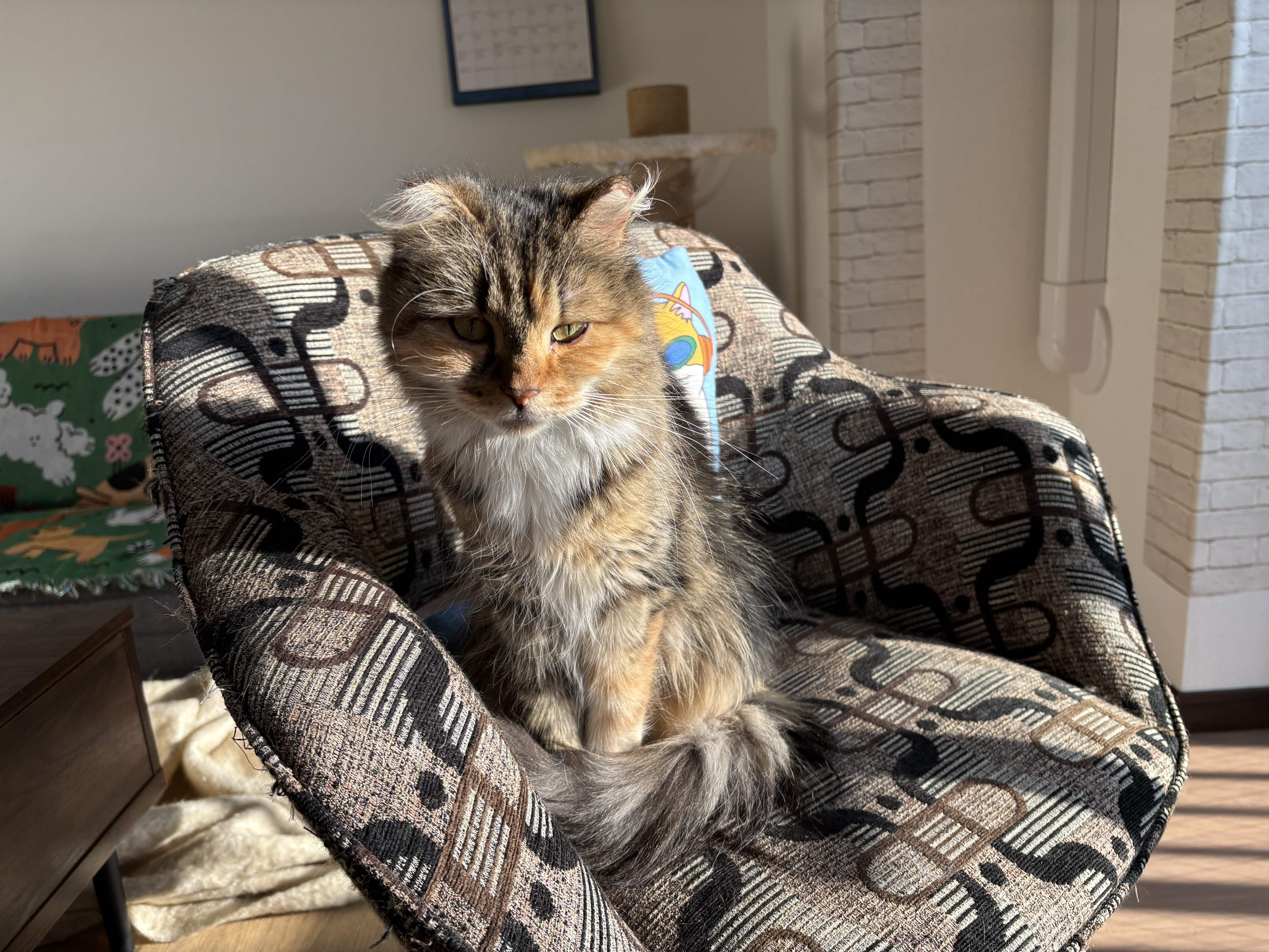 ママスママガジン