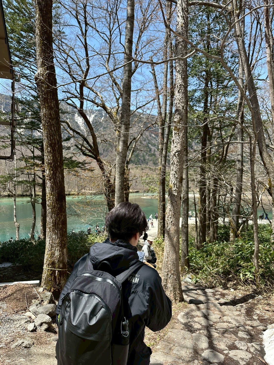 不忍池の蓮から始める上野公園1日モデルコース2026｜開く時間順の回り