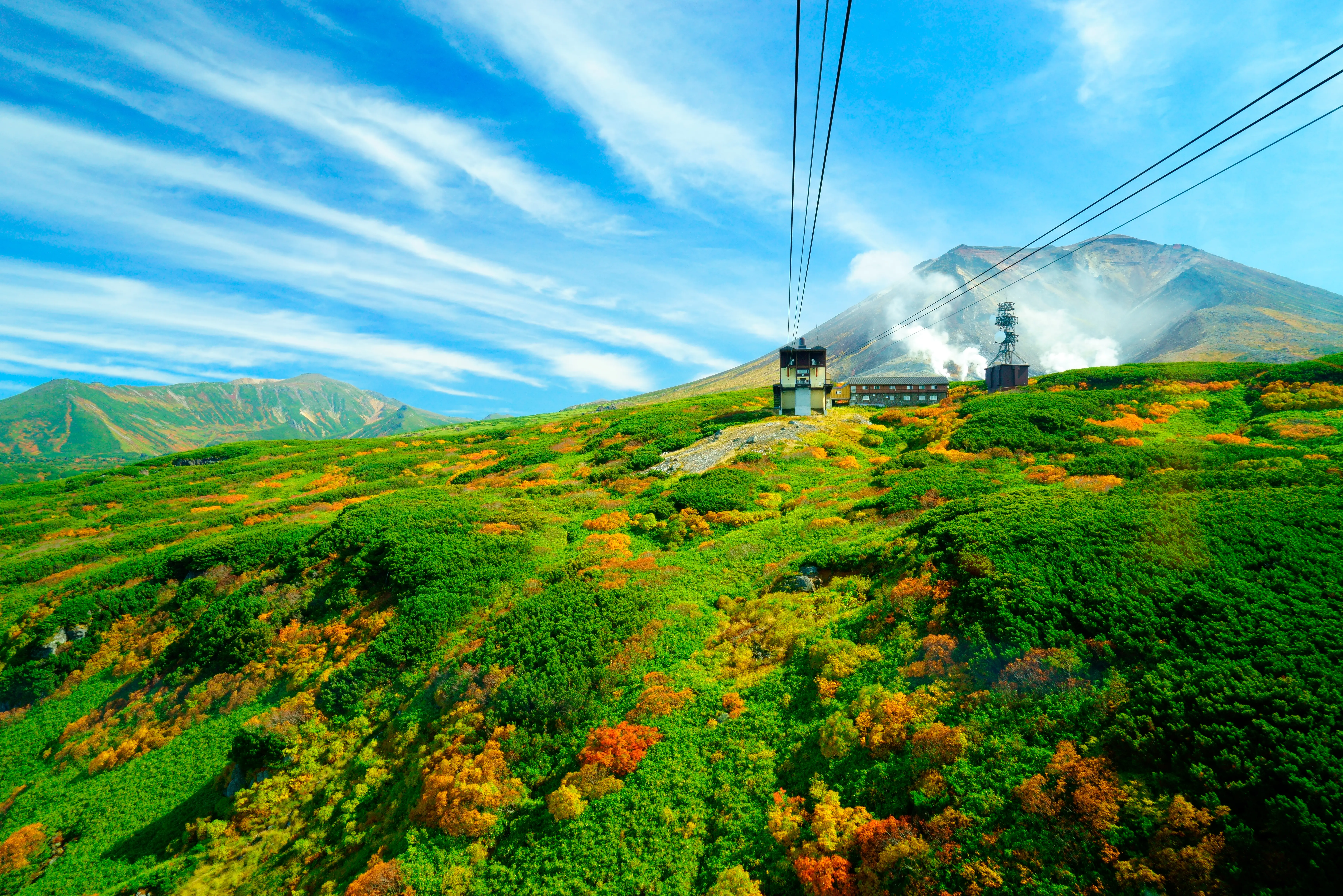 大雪山の紅葉_thumbnail.webp