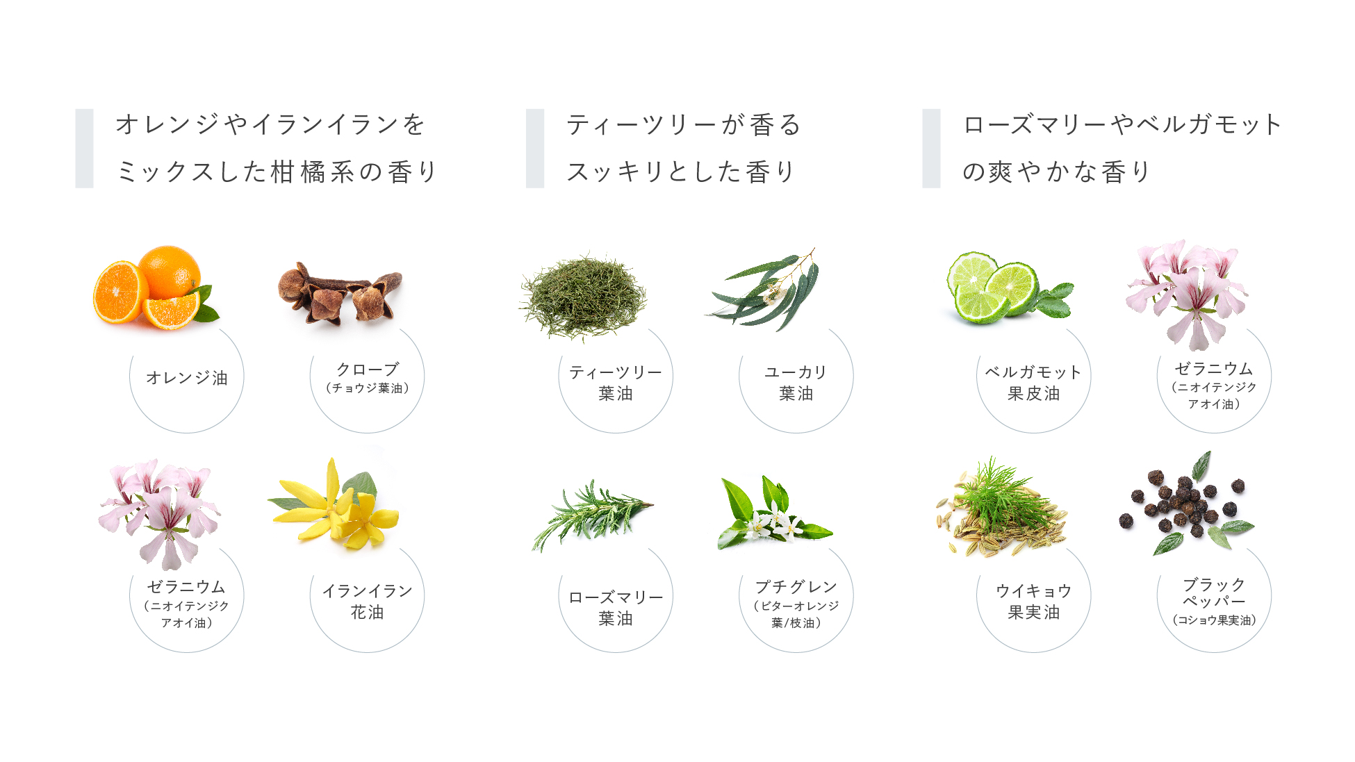 FUJIMIから四季に合わせた新発想のパーソナライズスキンケア商品が登場