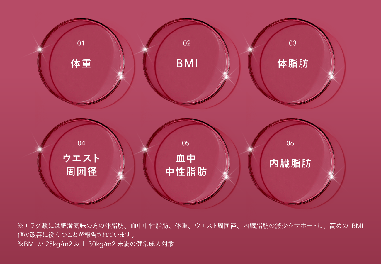 大人気「ファスティングセット」がリニューアル！リバウンド不安に