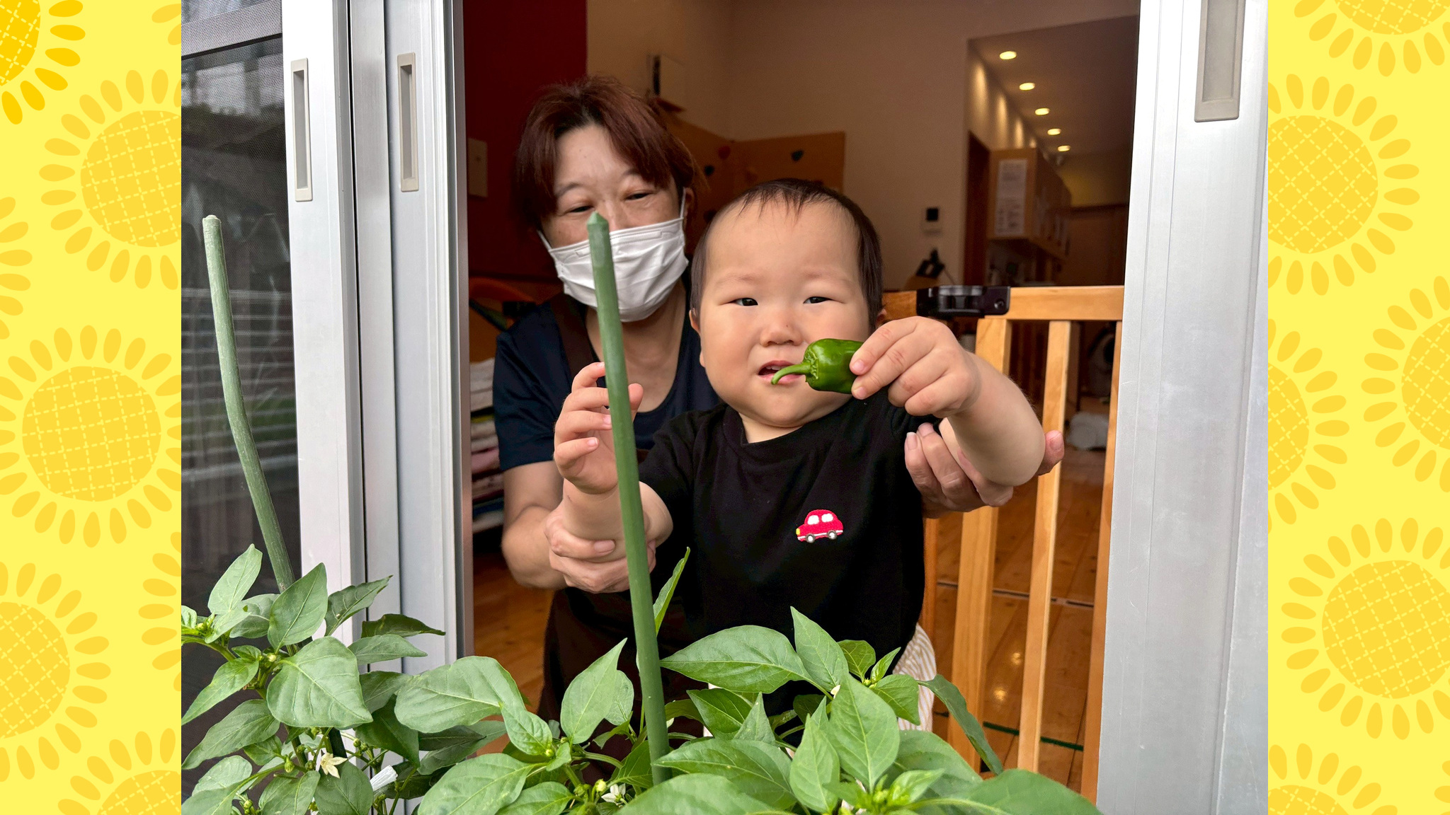 ピーマン収穫で育つ食への好奇心