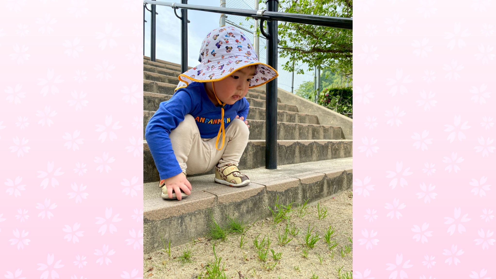 お日さまの下で心ものびのび！戸外遊びで見せる多彩な表情