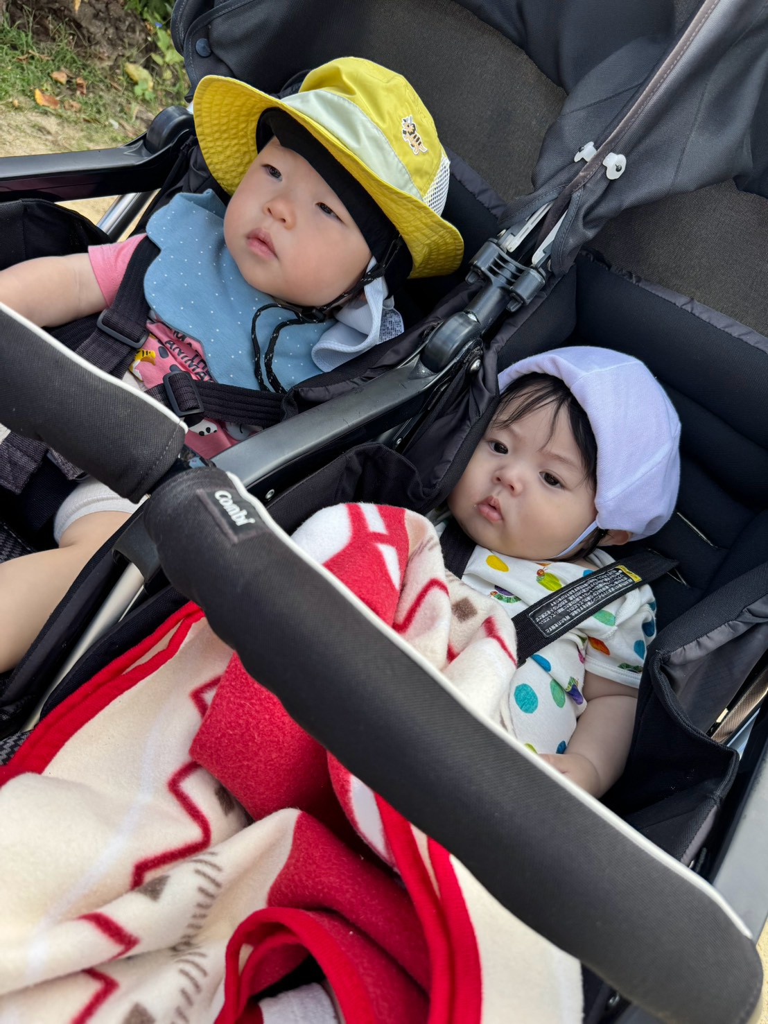 ベビーカーから戸外の景色を見つめる子どもたち