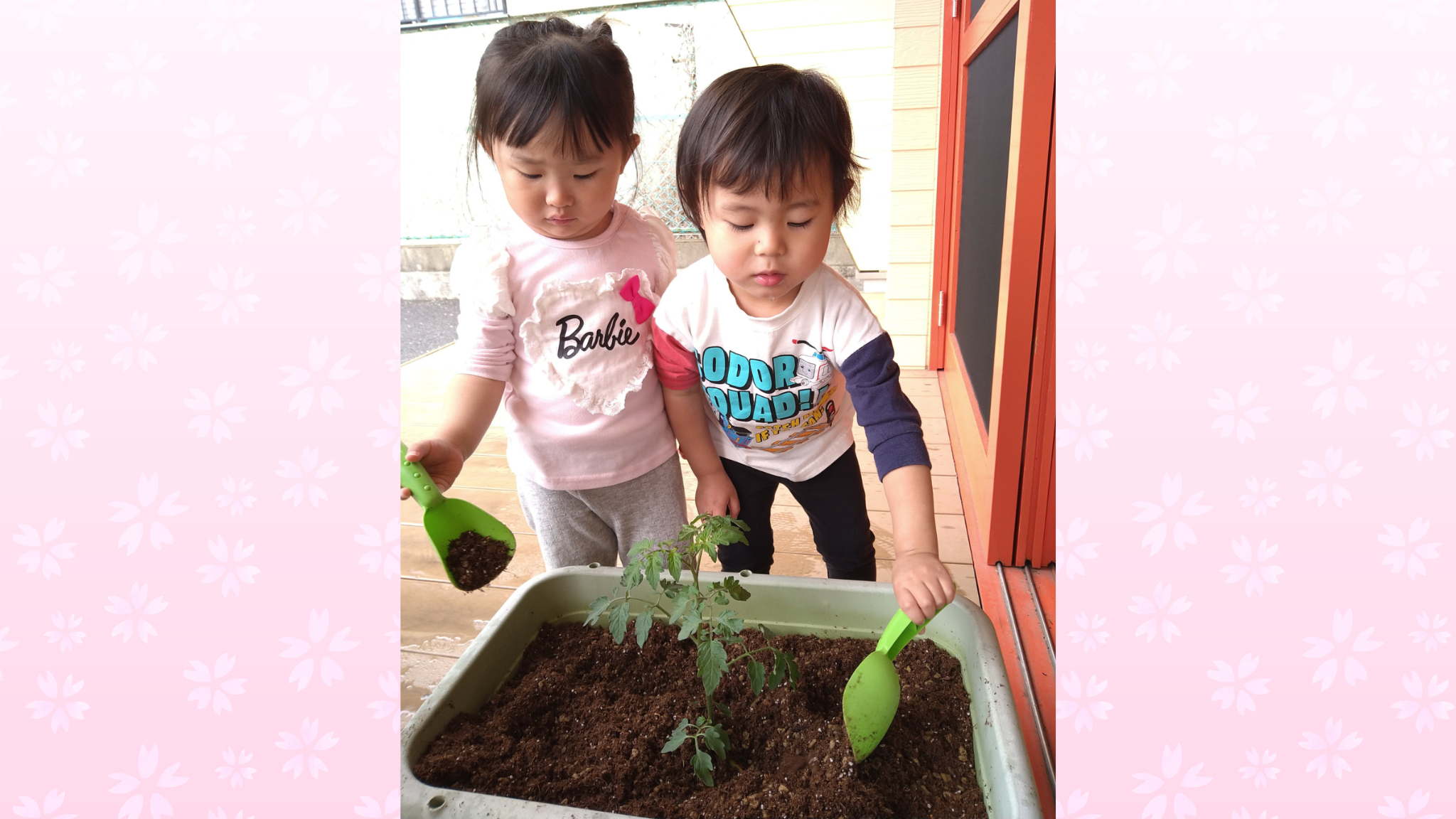 トマトの苗植えに挑戦！土と触れ合って育む命の尊さ