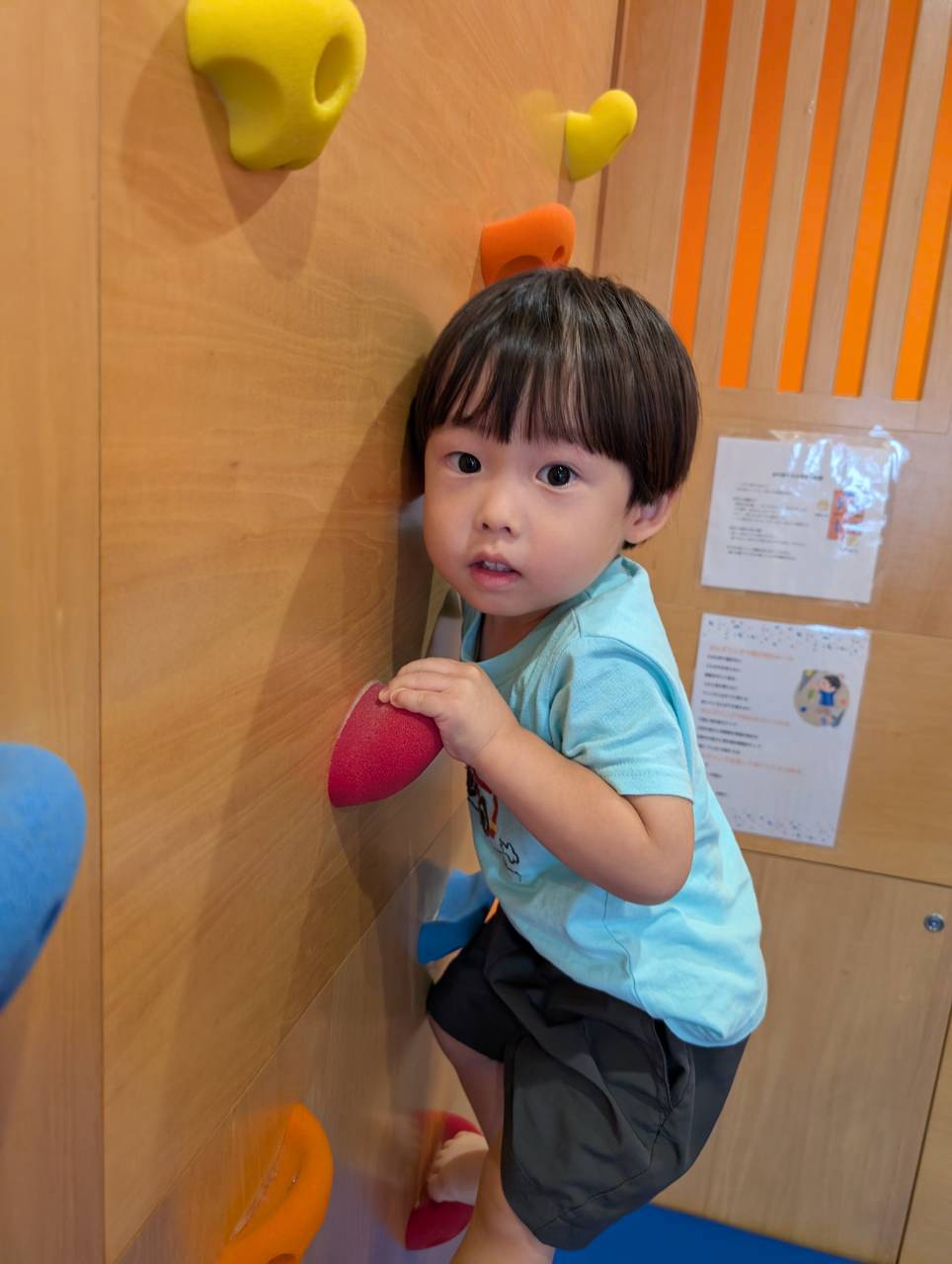 手足でホールドを確かめながら姿勢を保つ子ども