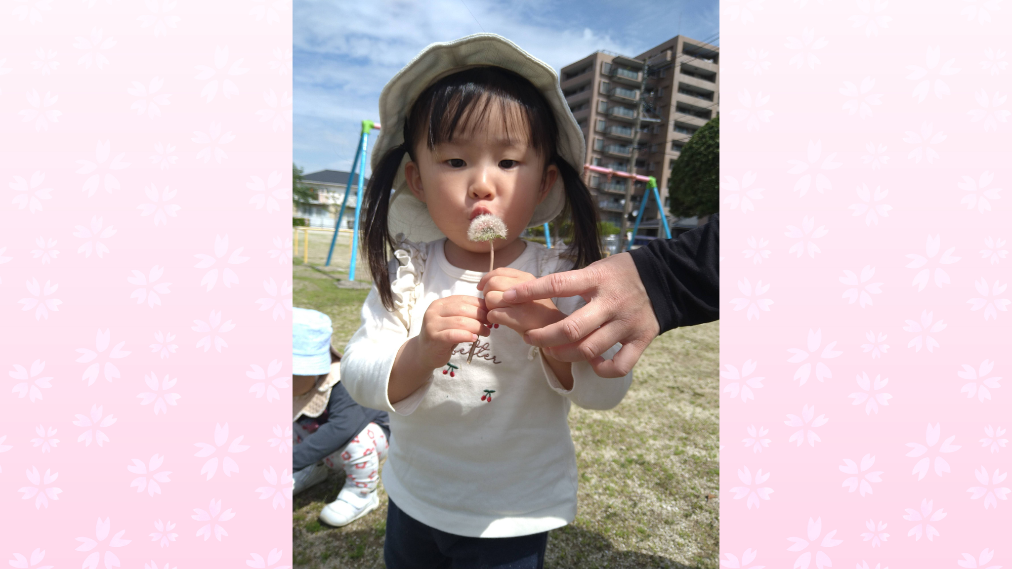 ふーっと飛ばそう！たんぽぽの綿毛が見せる不思議な世界