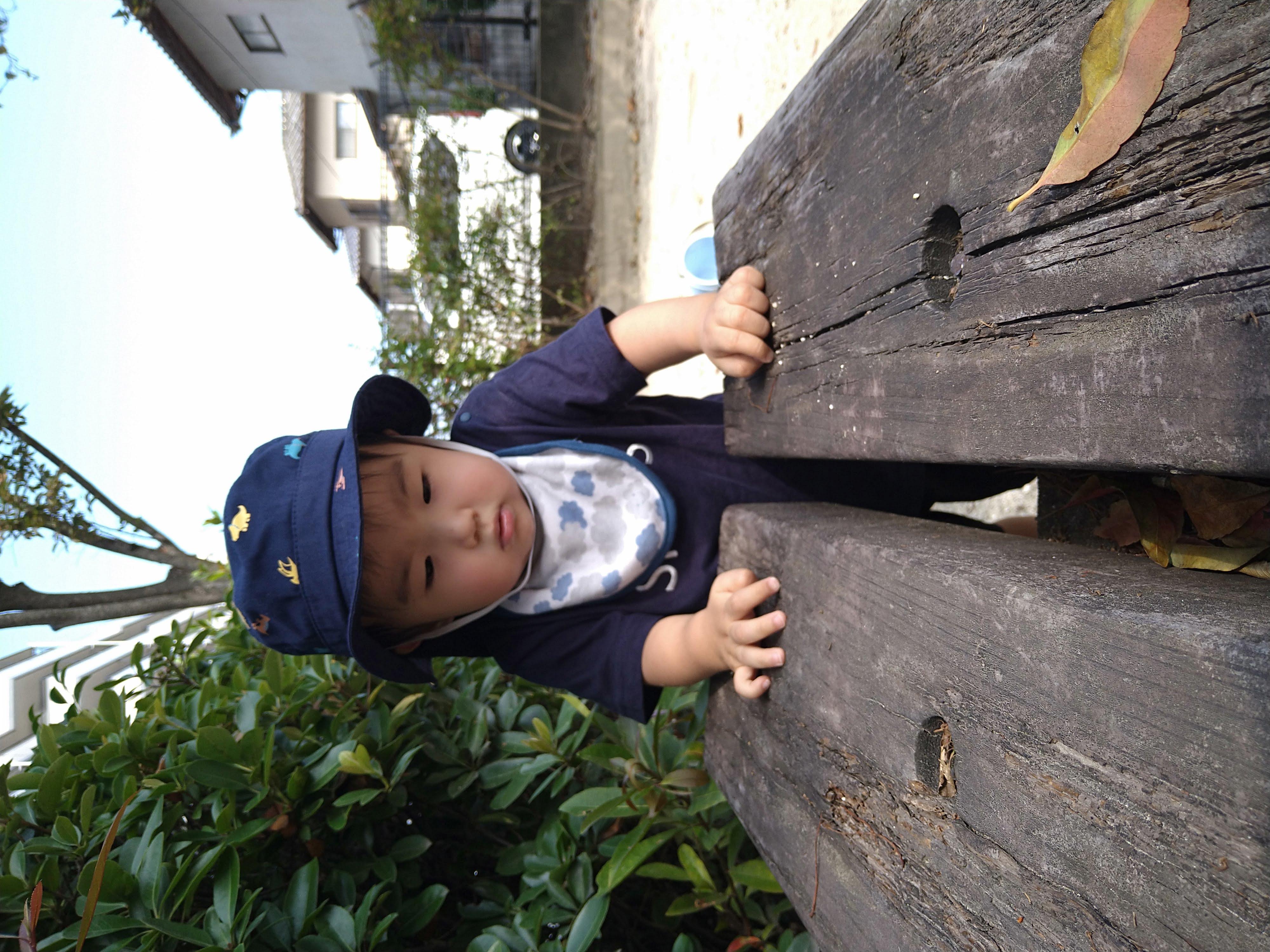 公園の木の台に両手をついて体を支える子ども