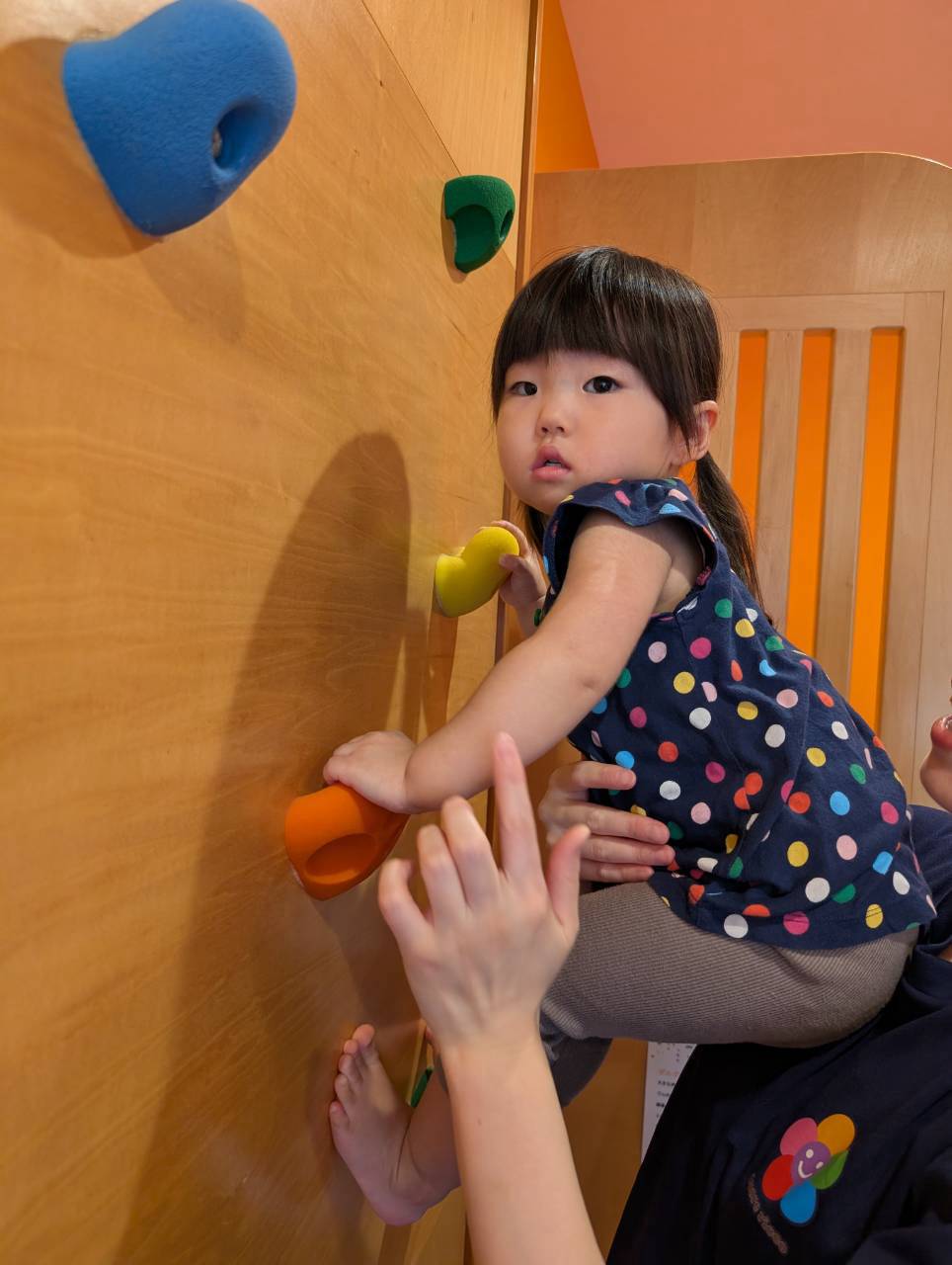 複数のホールドに手を置いて次の動きを考える子ども