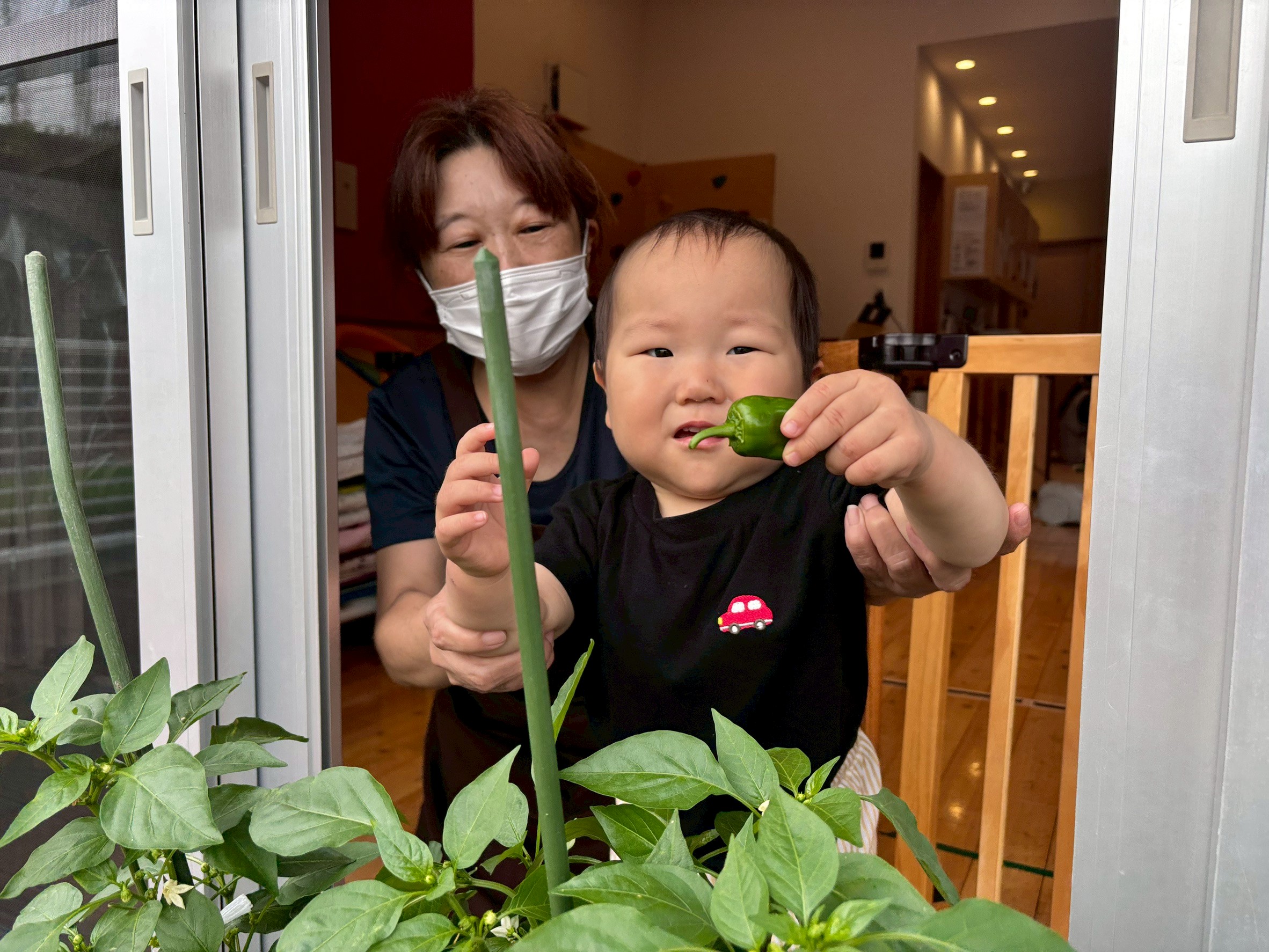 収穫したピーマンを掲げて見せる子ども