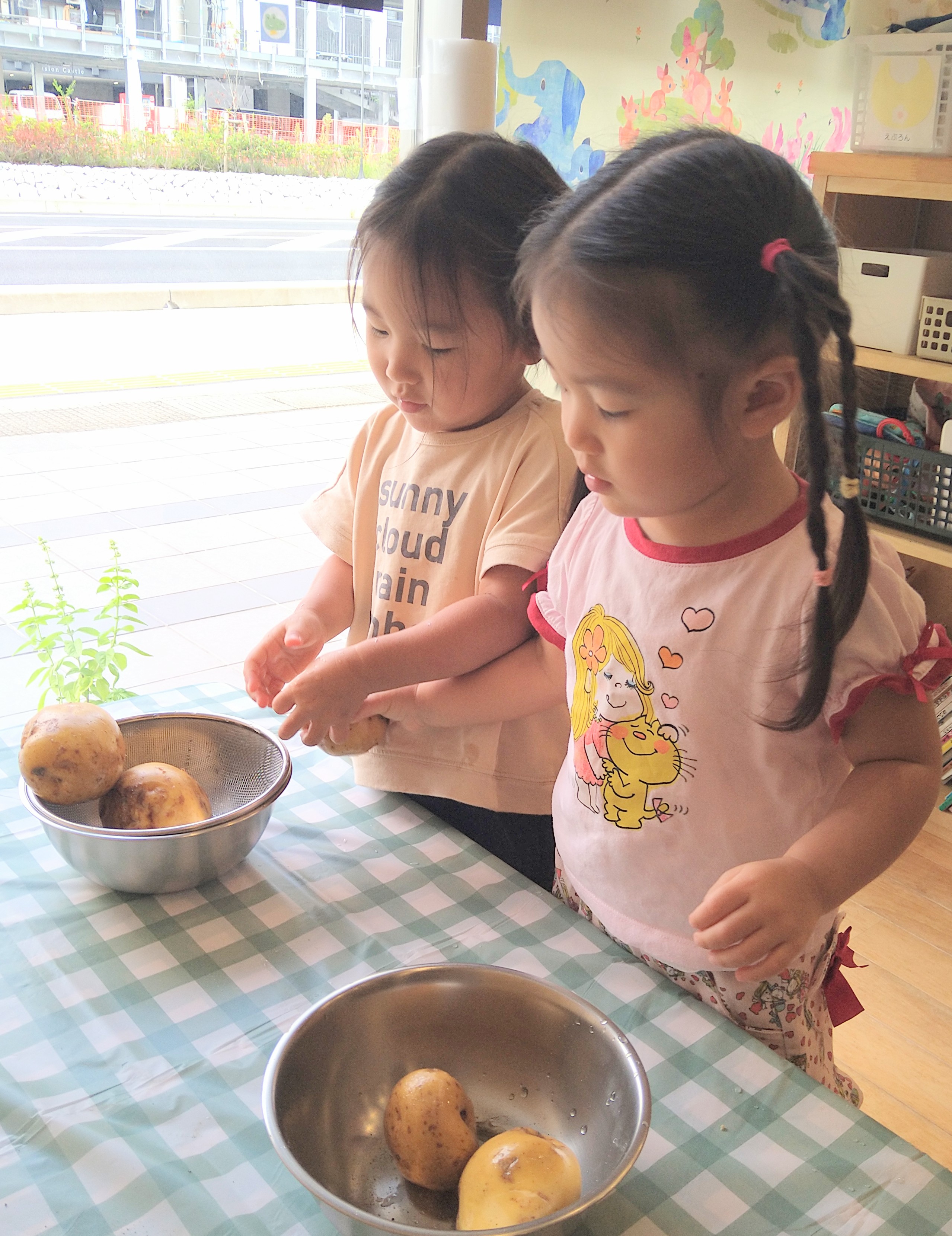 じゃがいもを手に取り表面を確かめる子どもたち