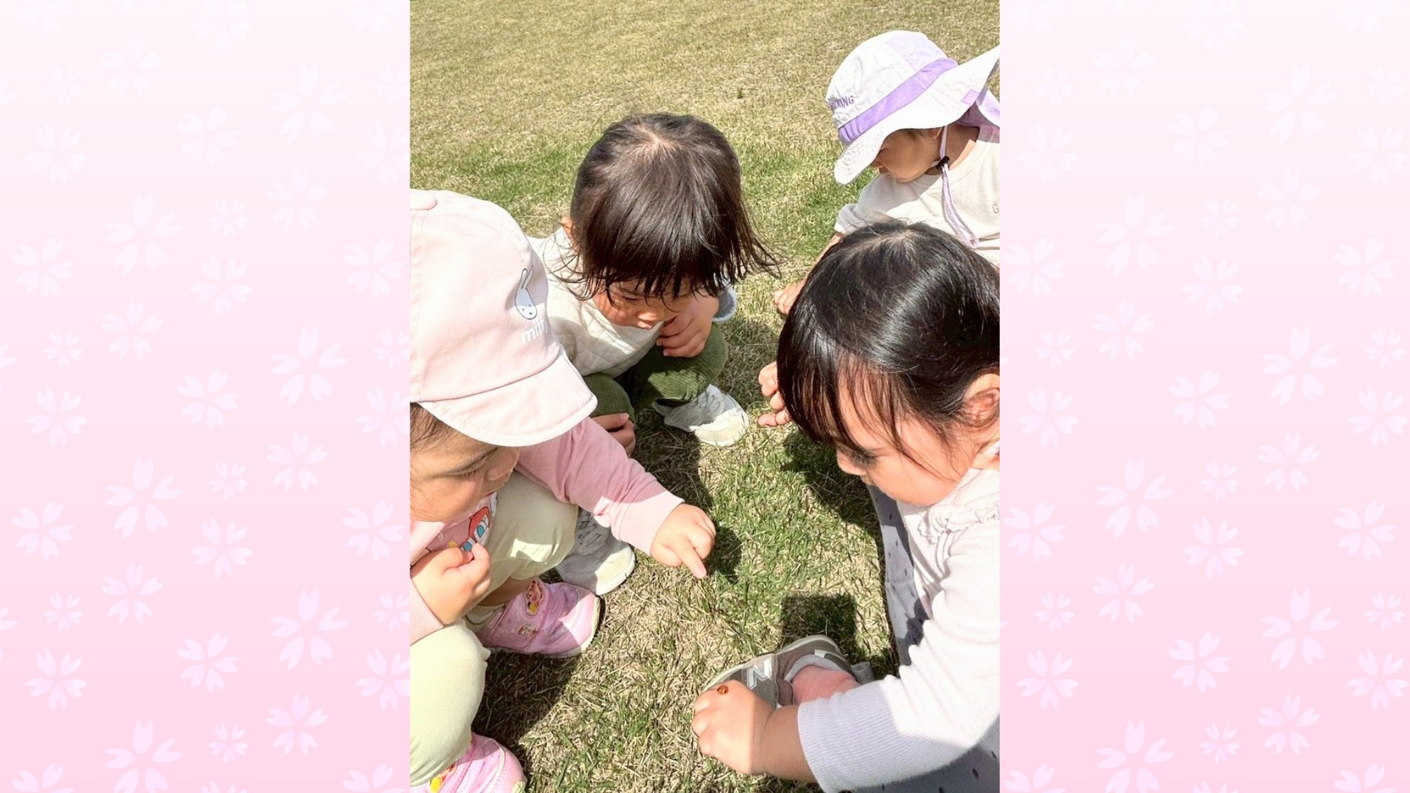 小さな命との出会い！お散歩で見つけた春の宝物