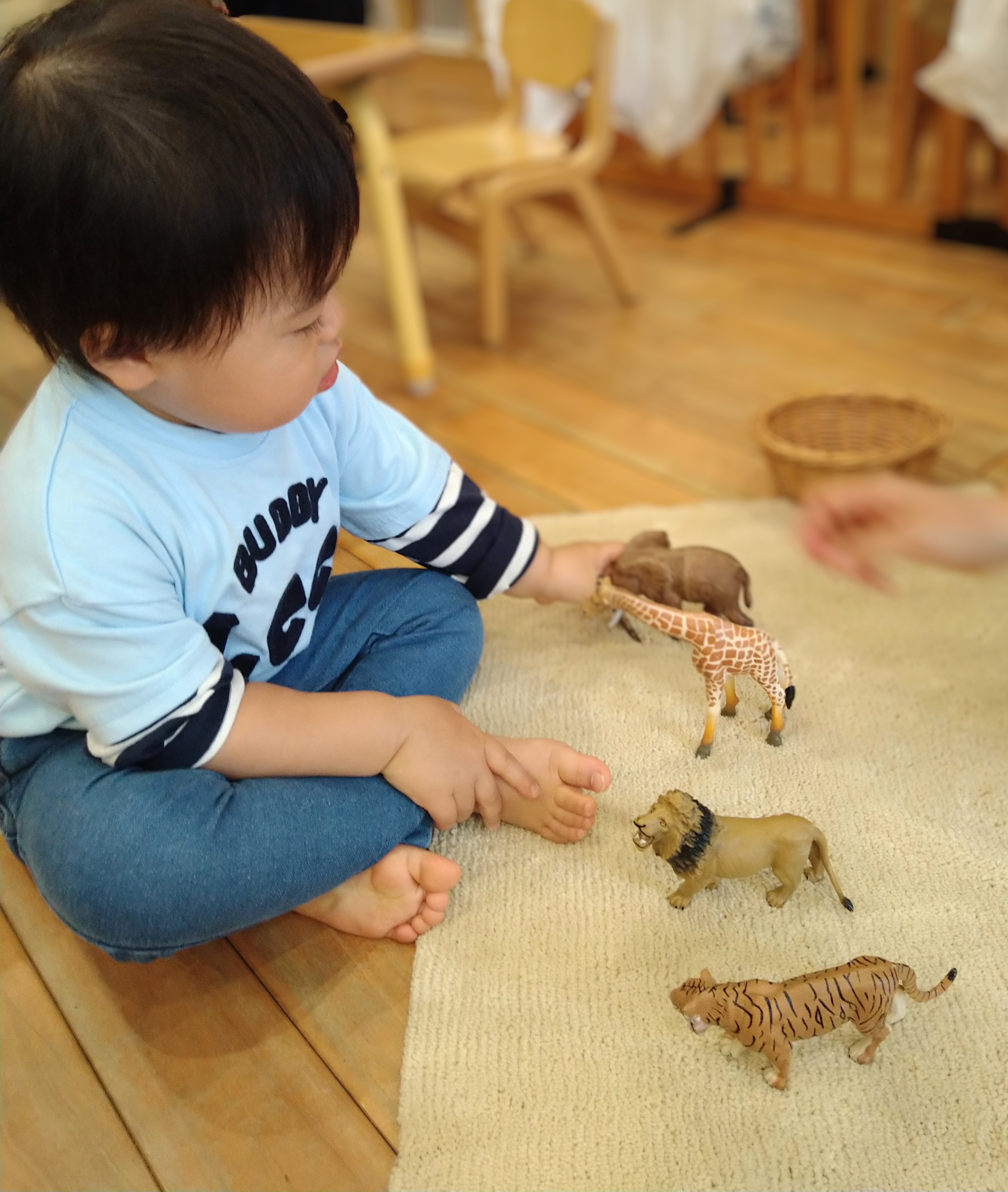 動物の模型を並べて見比べる子ども