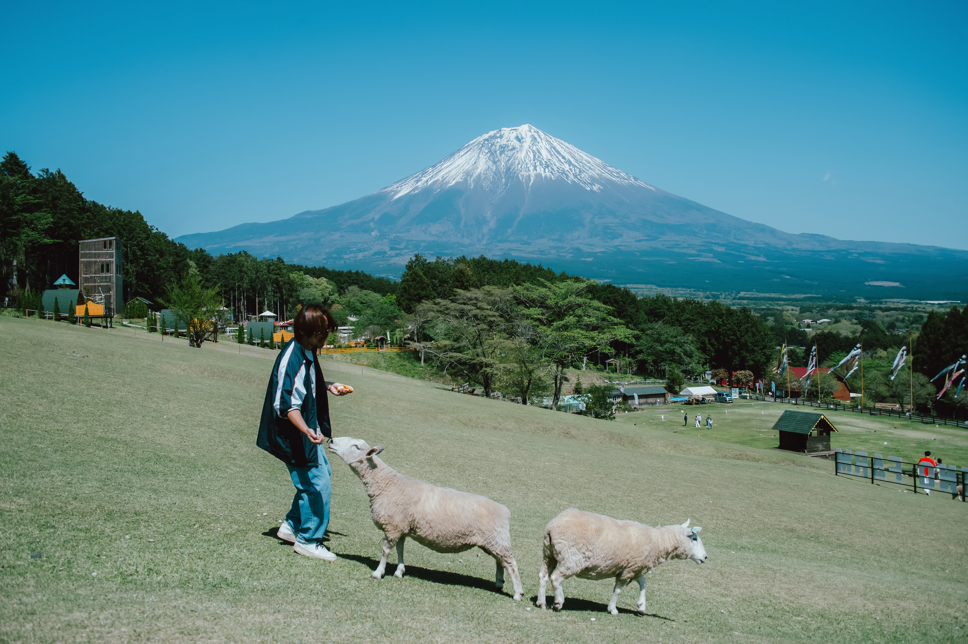 Butter-Making Experience at Makai Ranch — Asagiri Highlands with a View of Mount Fuji