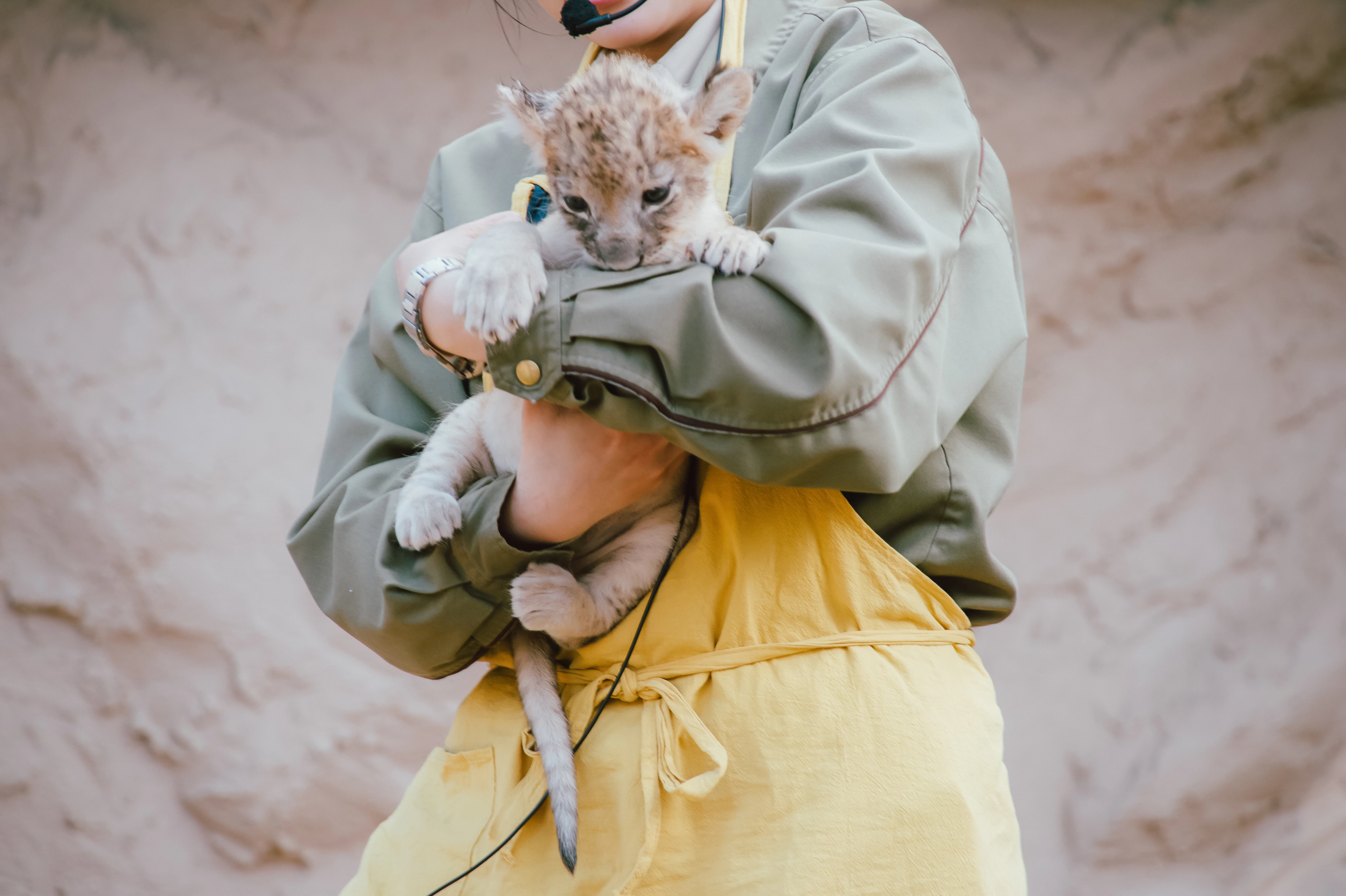Encounter Wildlife with Mount Fuji in the Background — Fuji Safari Park: Admission Experience with Private Shuttle Service