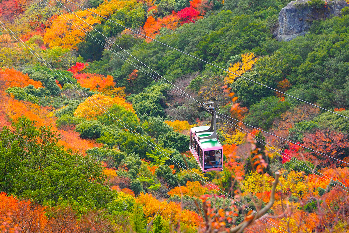 Artful Journey through Shikoku gallery 2
