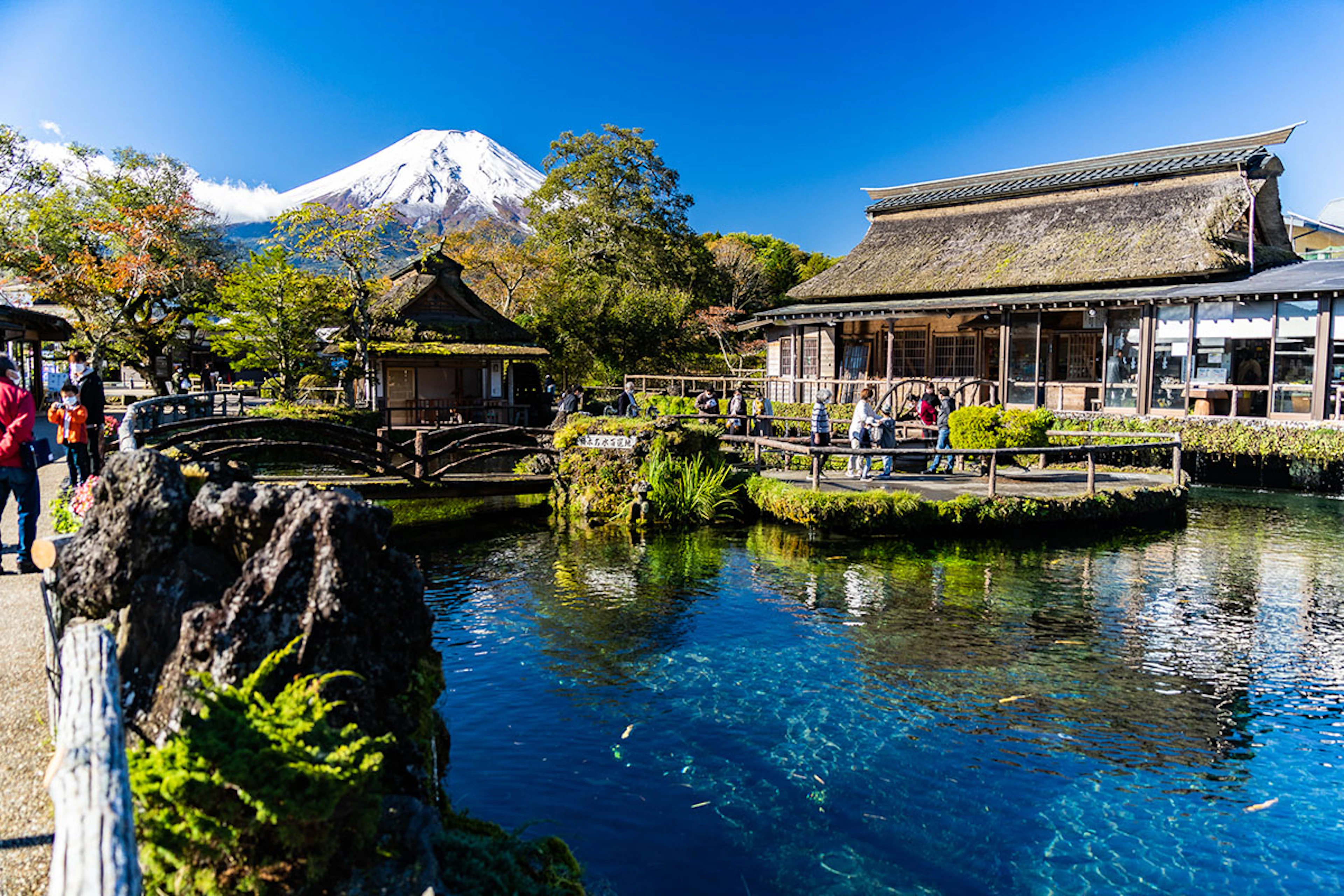 Mt. Fuji Area