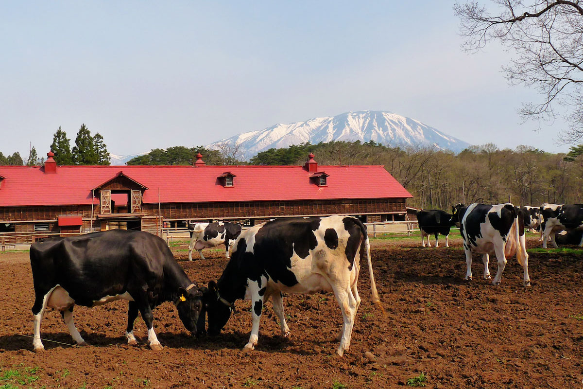 Tohoku’s Hidden Nature Gems gallery 3