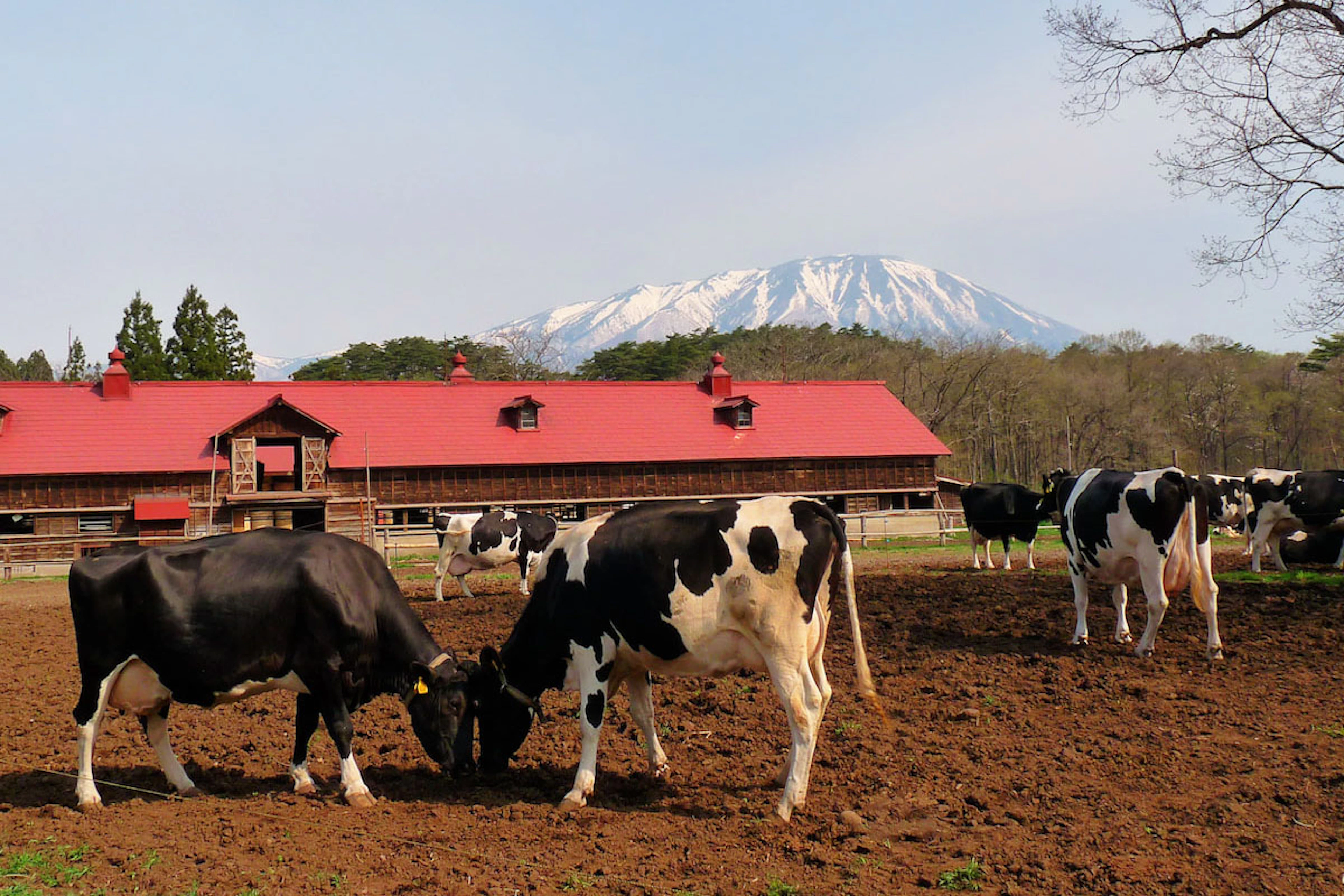 Tohoku’s Hidden Nature Gems - 3