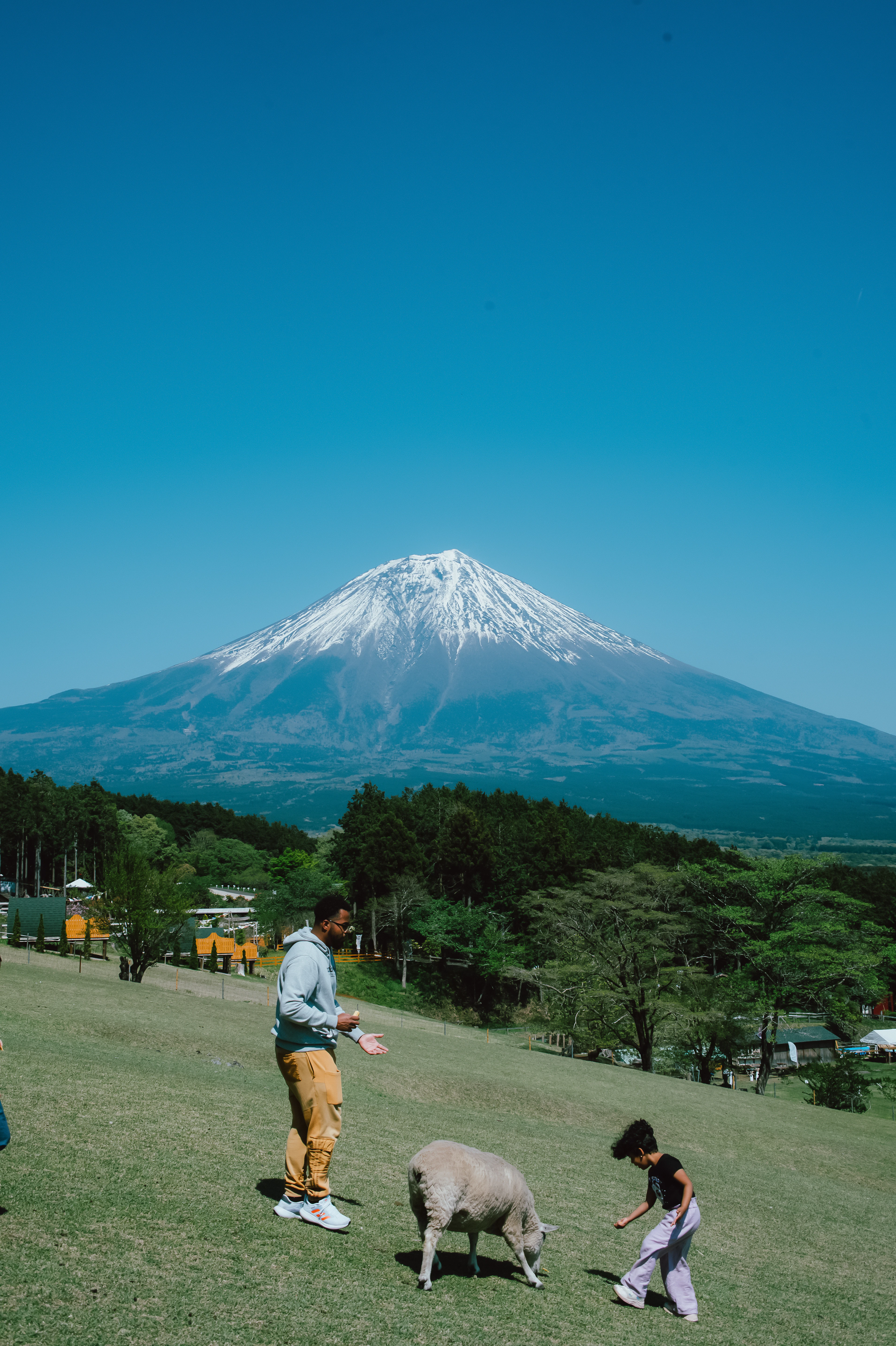 Butter-Making Experience at Makai Ranch — Asagiri Highlands with a View of Mount Fuji - 1