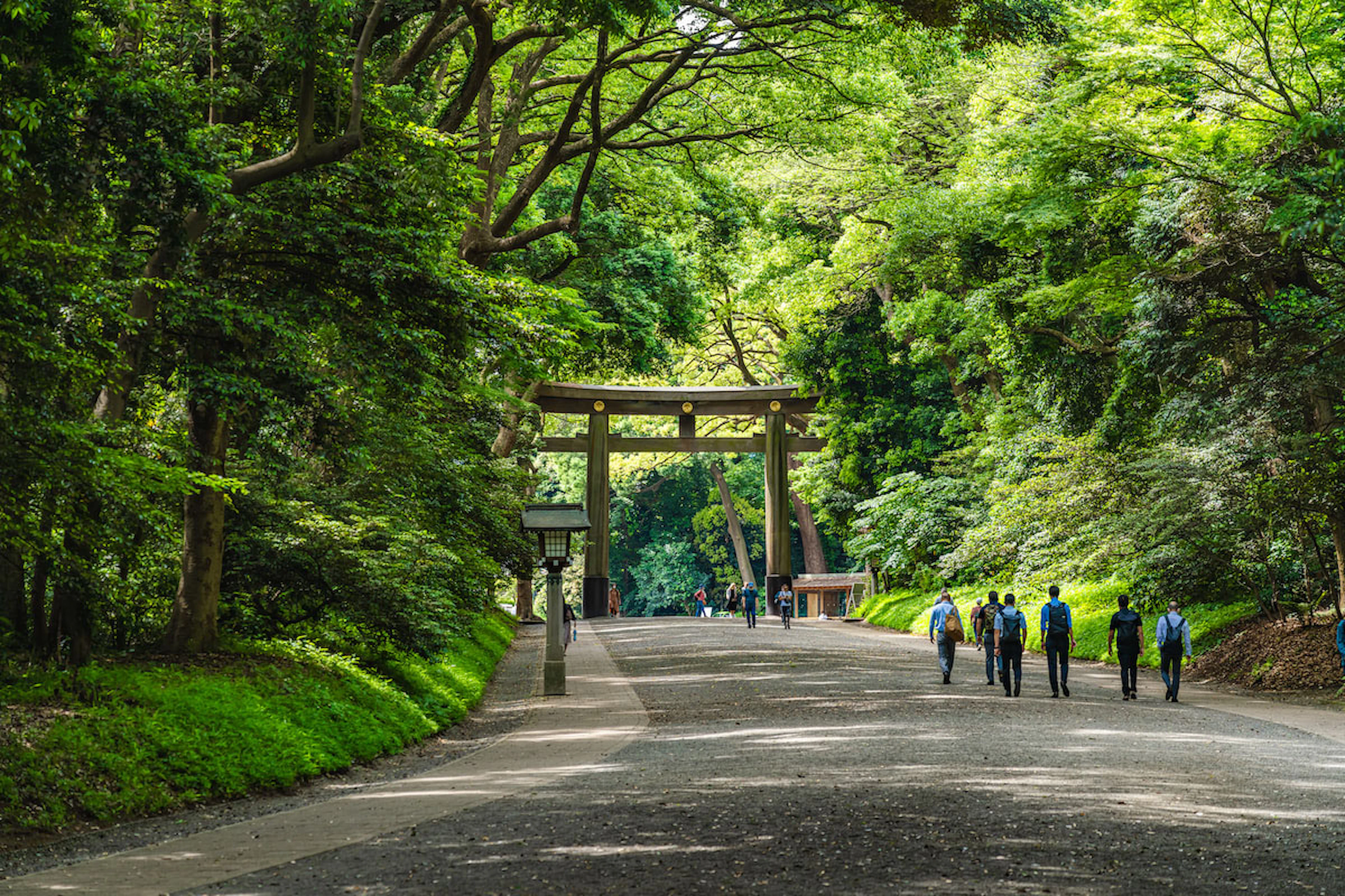 Spiritual Blessing at Meiji Shrine