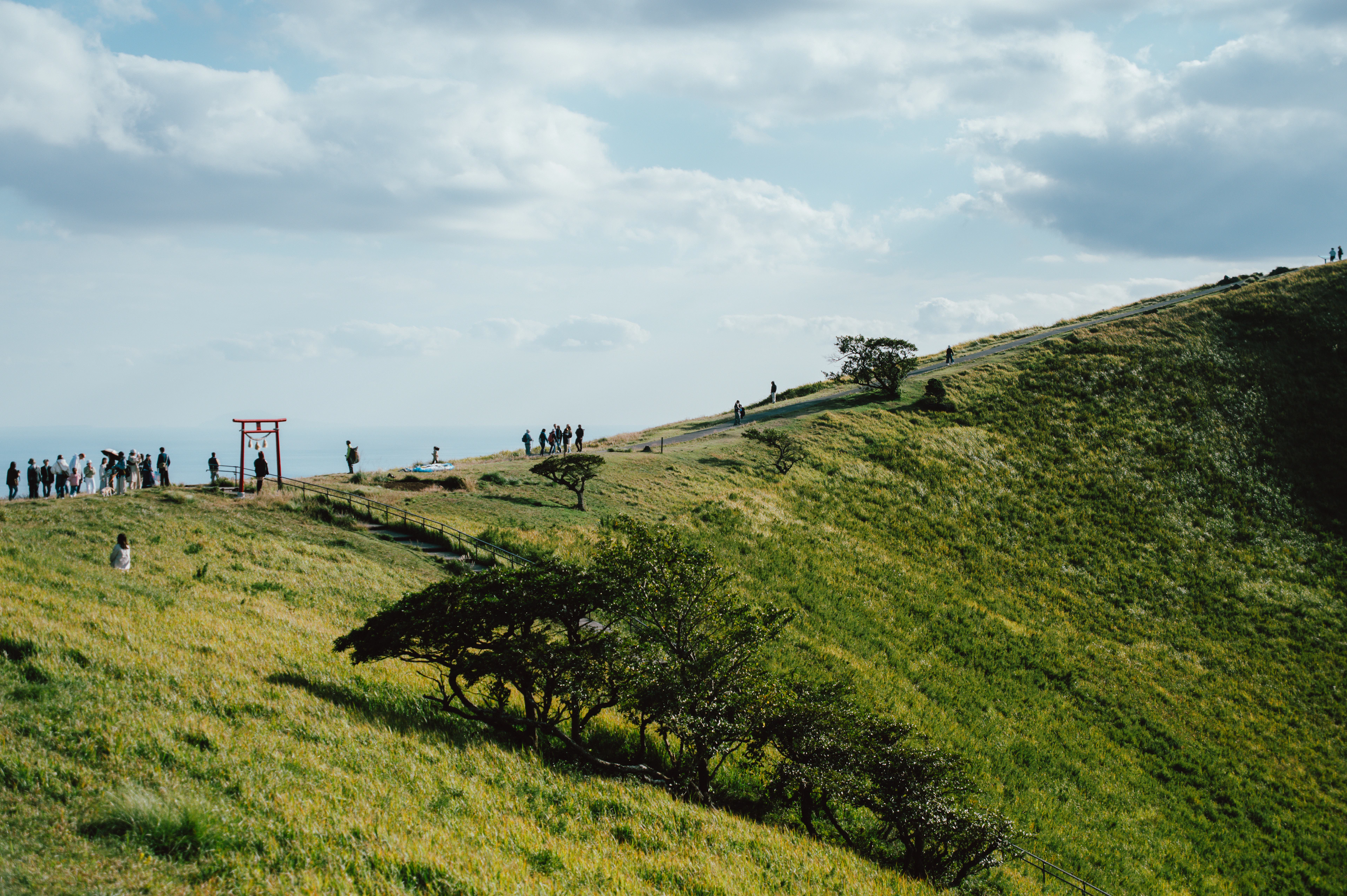 Circle the Crater and Take in the Panoramic View of Izu — Mount Omuro Lift & Crater Tour Experience - 2