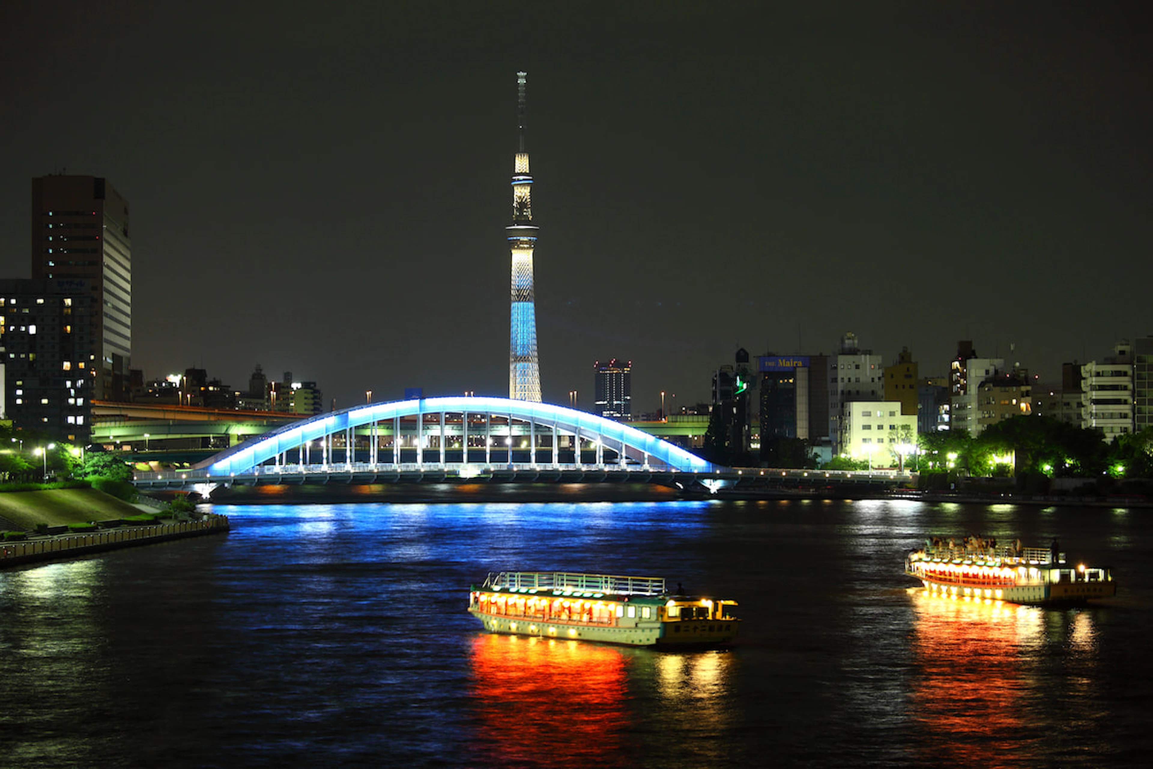 Gourmet Odyssey: From Tokyo to Kyoto