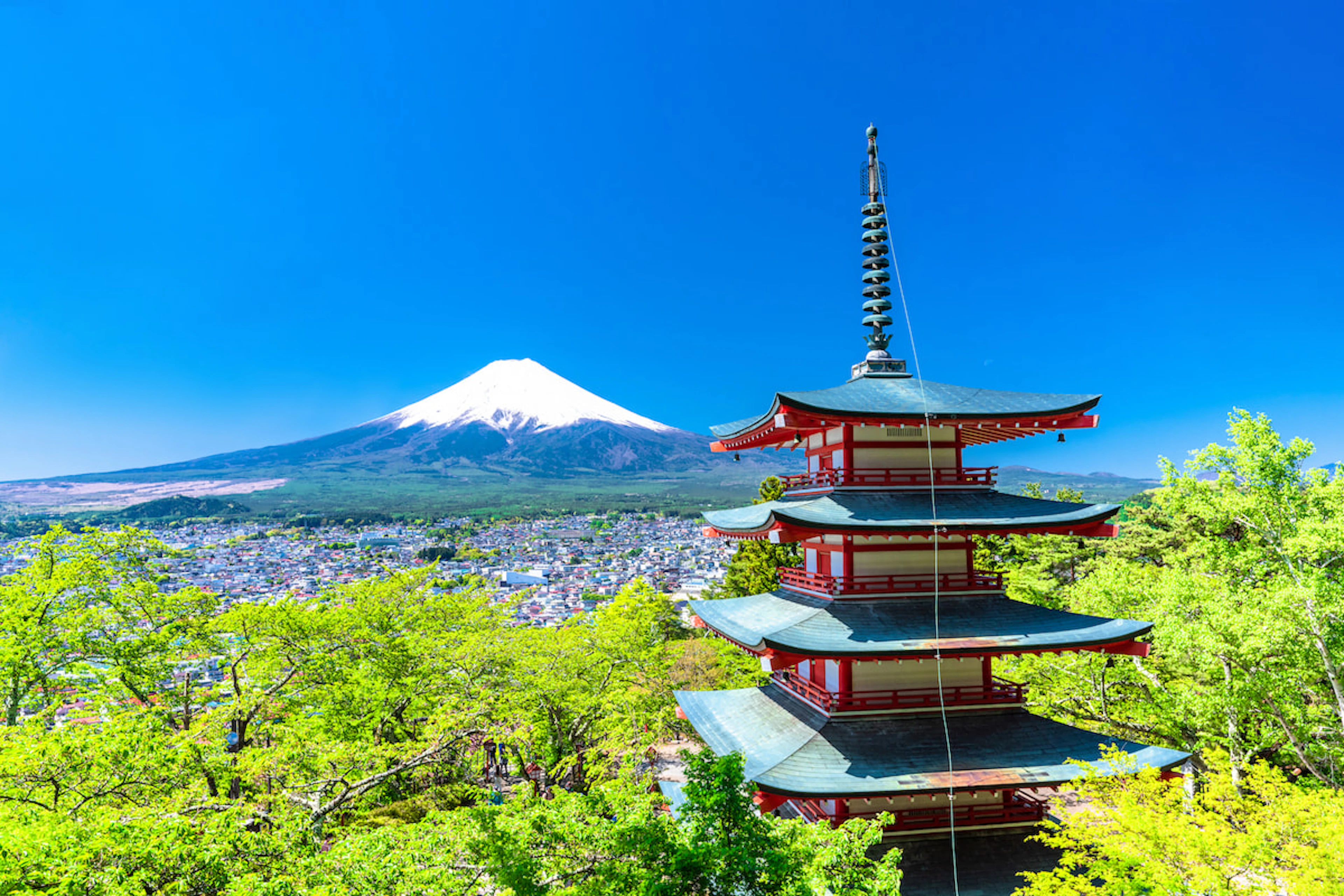 Mt. Fuji & Hakone: Scenic Contrasts