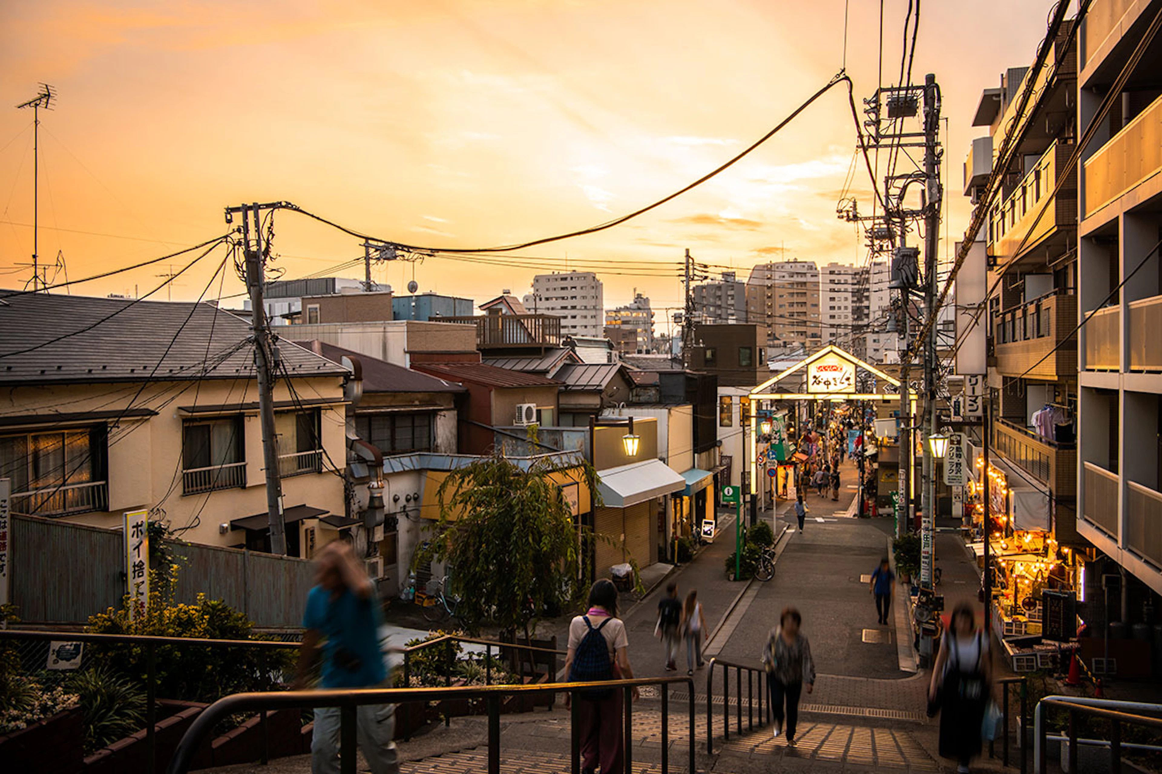 Gourmet Odyssey: From Tokyo to Kyoto - 3