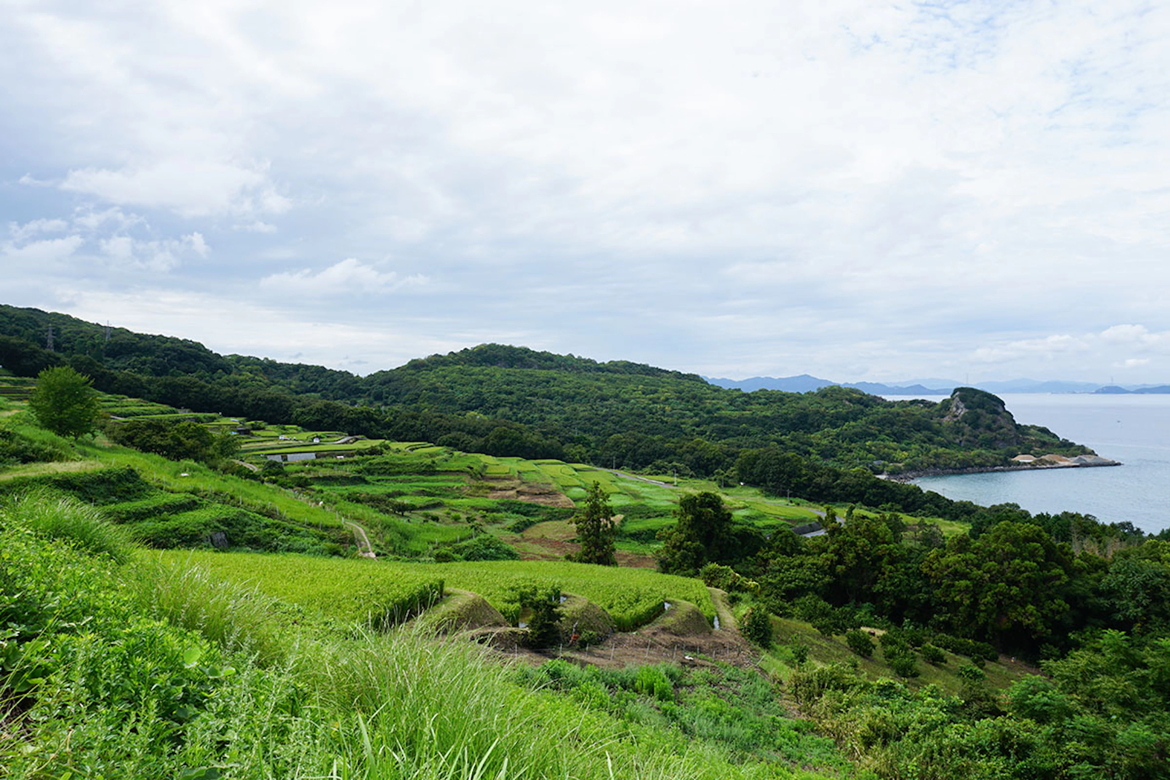 Contemporary Art Immersion on Naoshima and Teshima Islands
