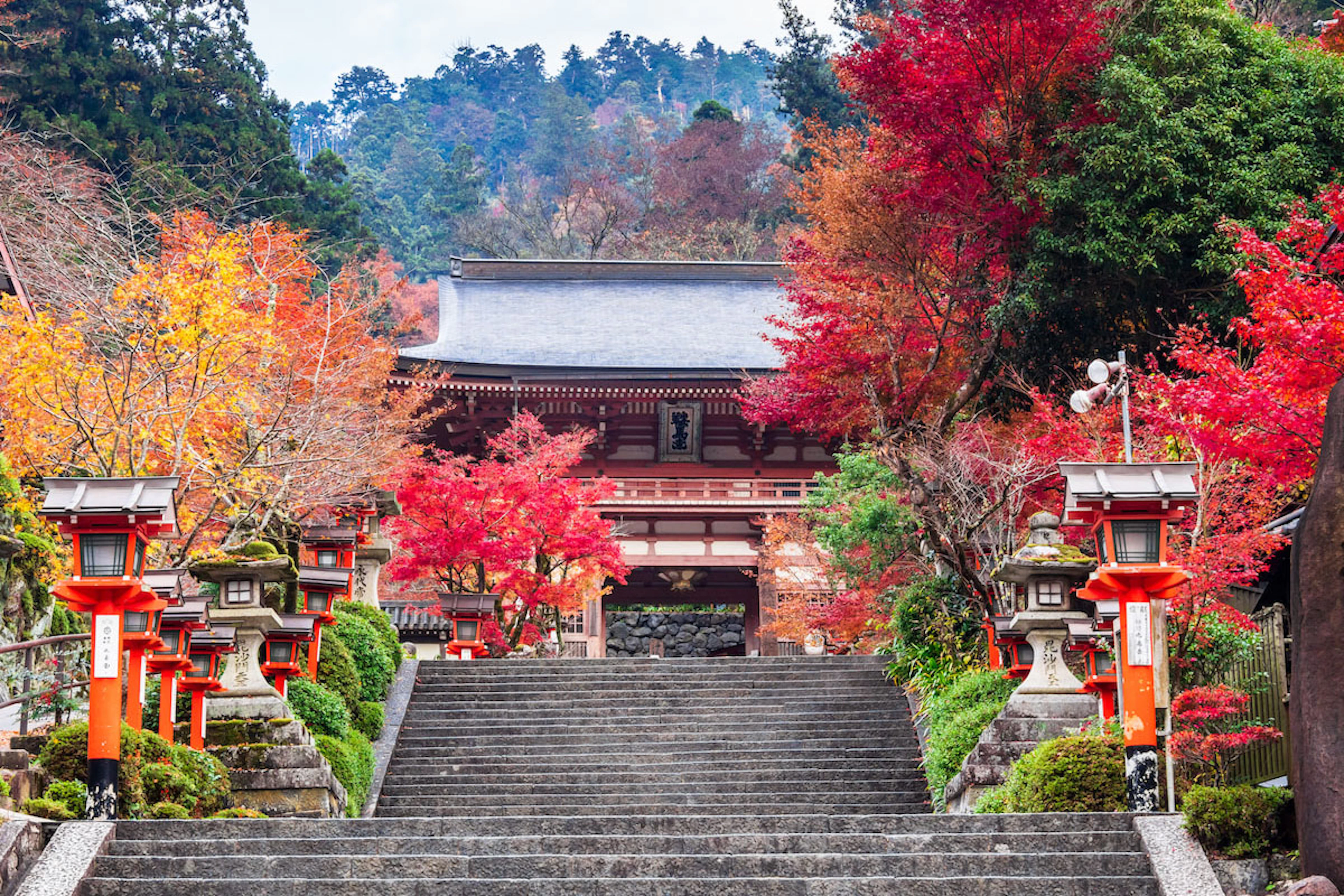 Kurama–Kibune Hike and Journey to Wakayama