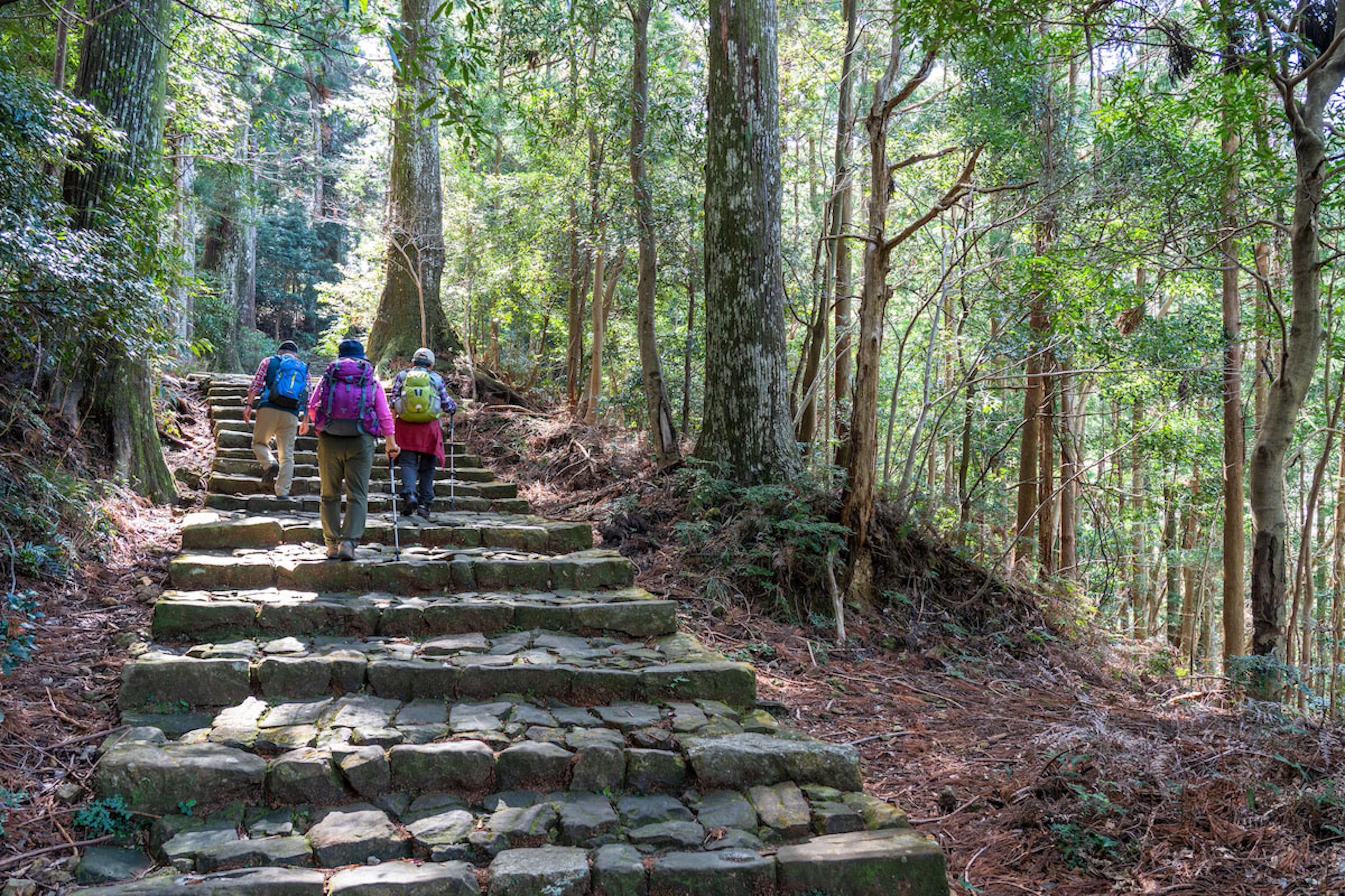 Hiking the Nakahechi Route from Takahara to Chikatsuyu
