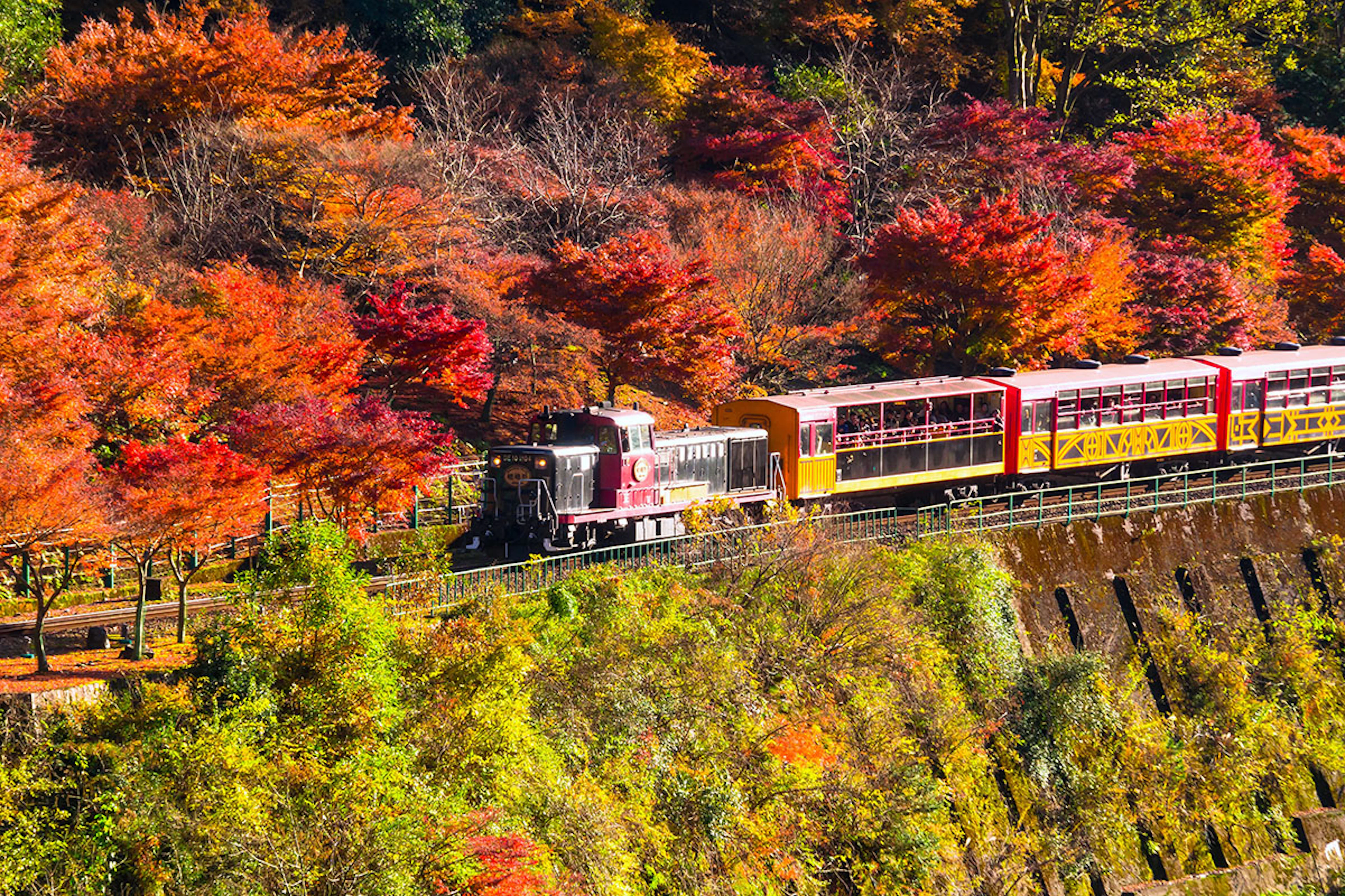 Kyoto & Shizuoka