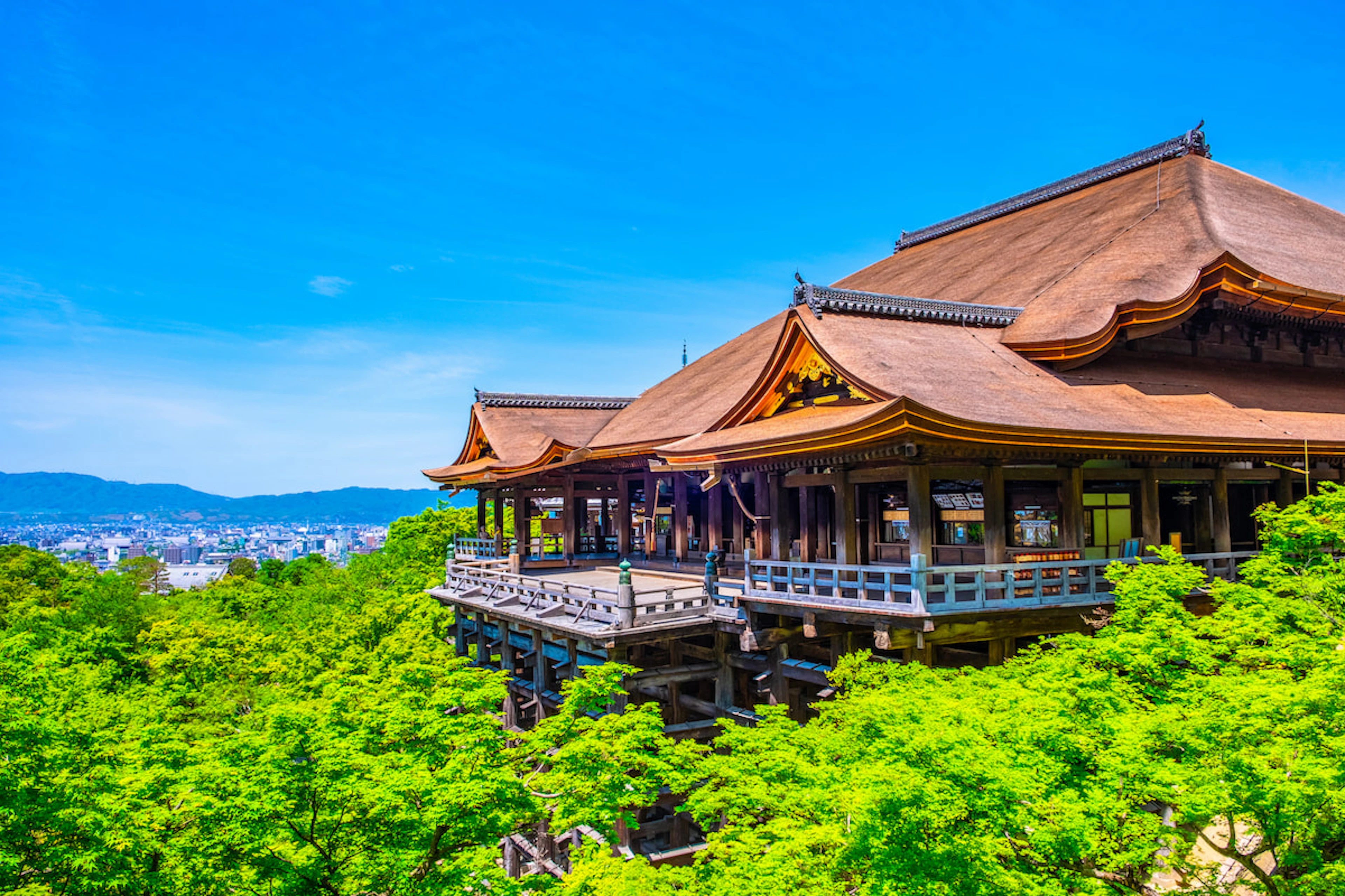 Kyoto’s Iconic Shrines, Temples & Bamboo Grove