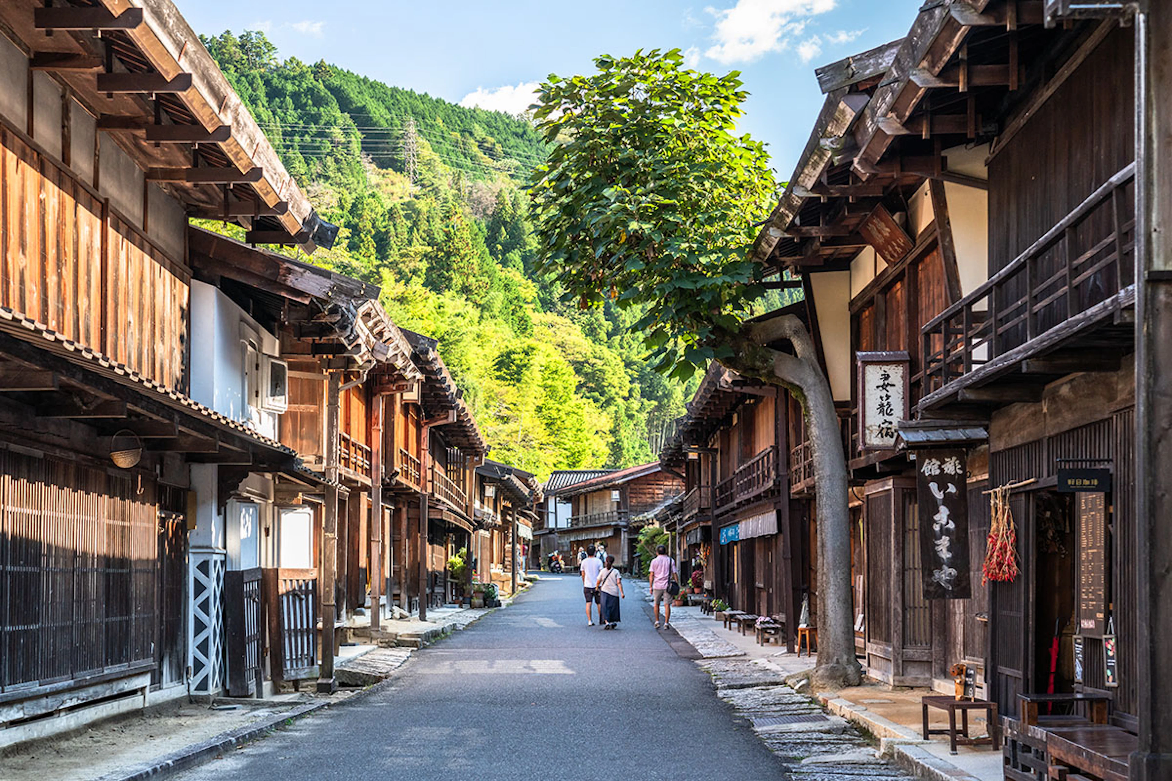 All-Season 10-Day Grand Japan Tour - 2