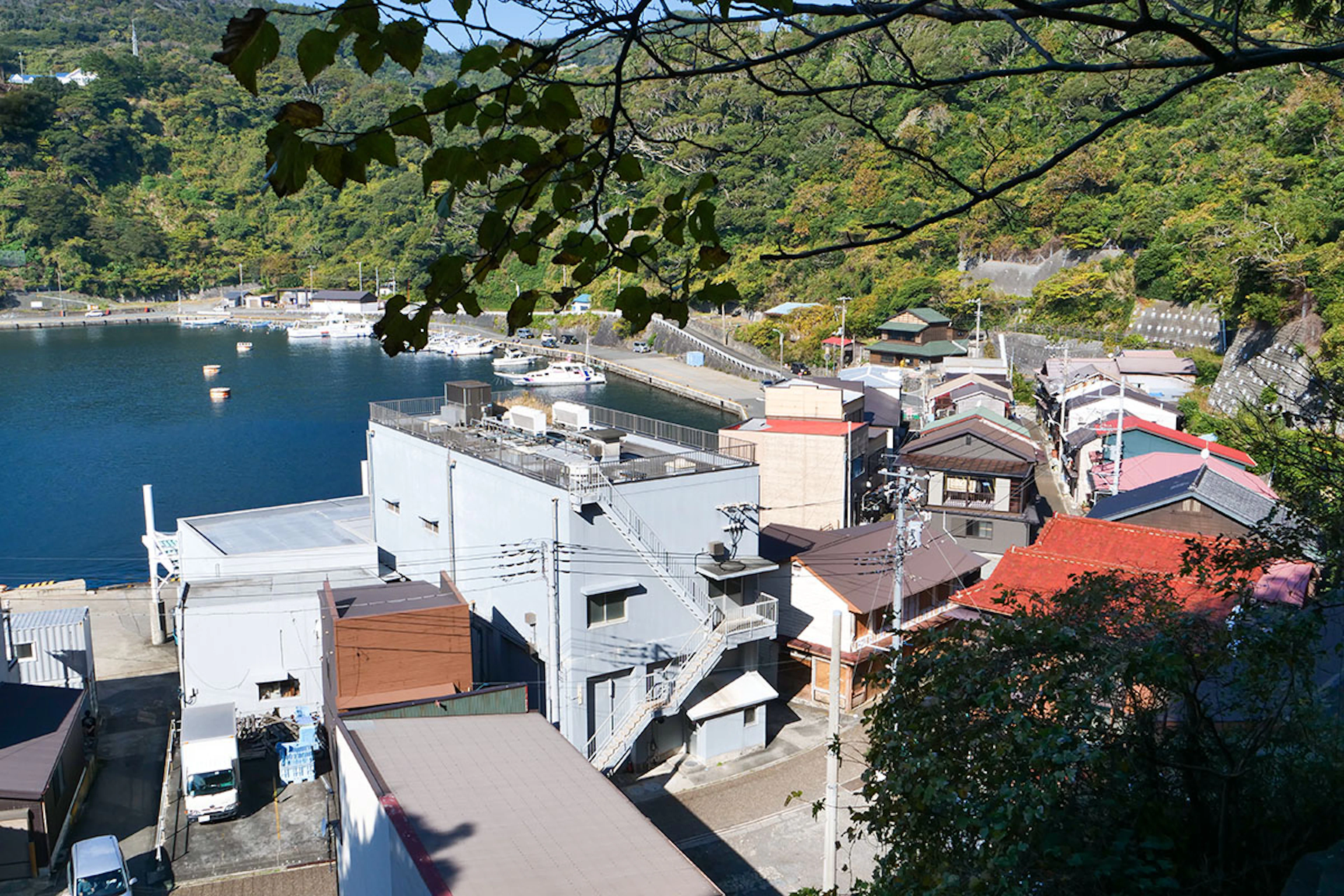 Izu Oshima Island