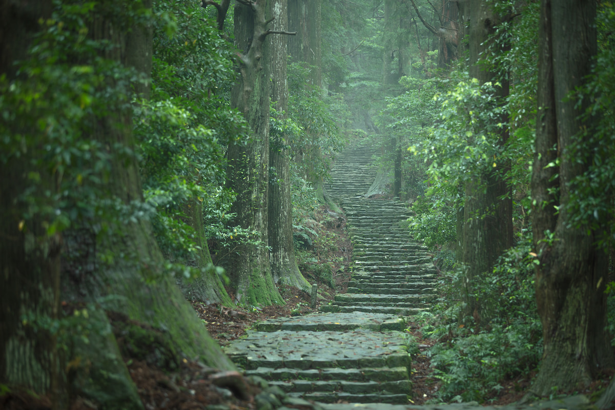 Koyasan & Kumano Kodo Buddhist Journey gallery 1