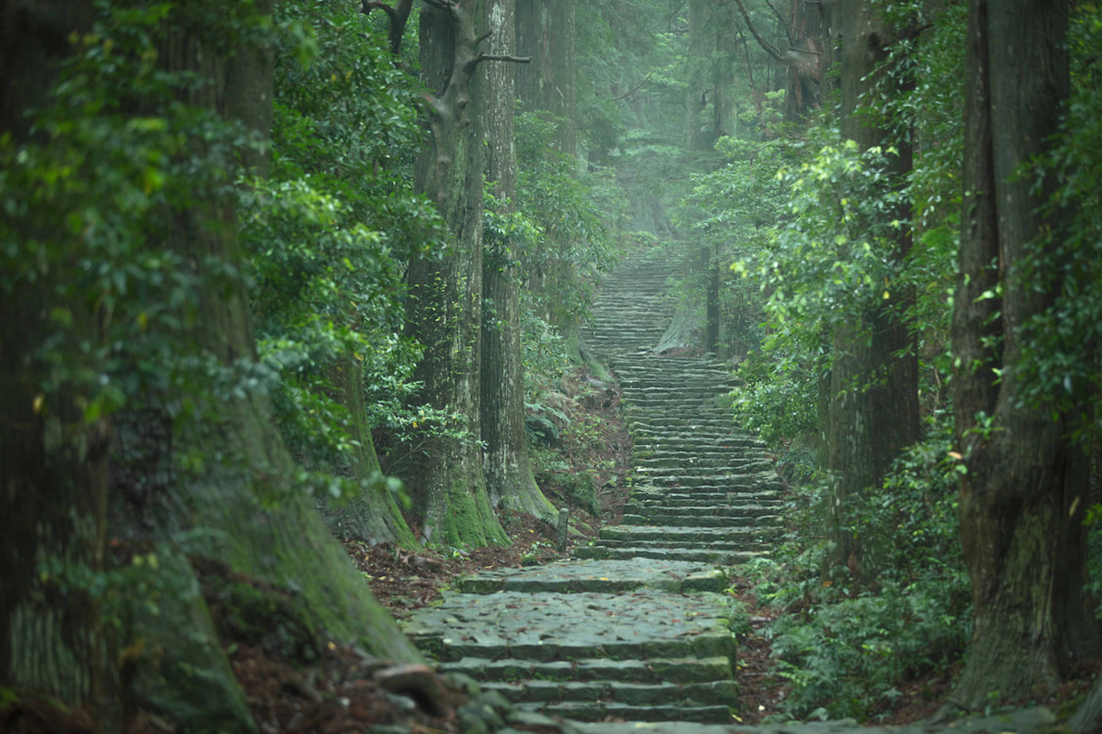Koyasan & Kumano Kodo Buddhist Journey - 2