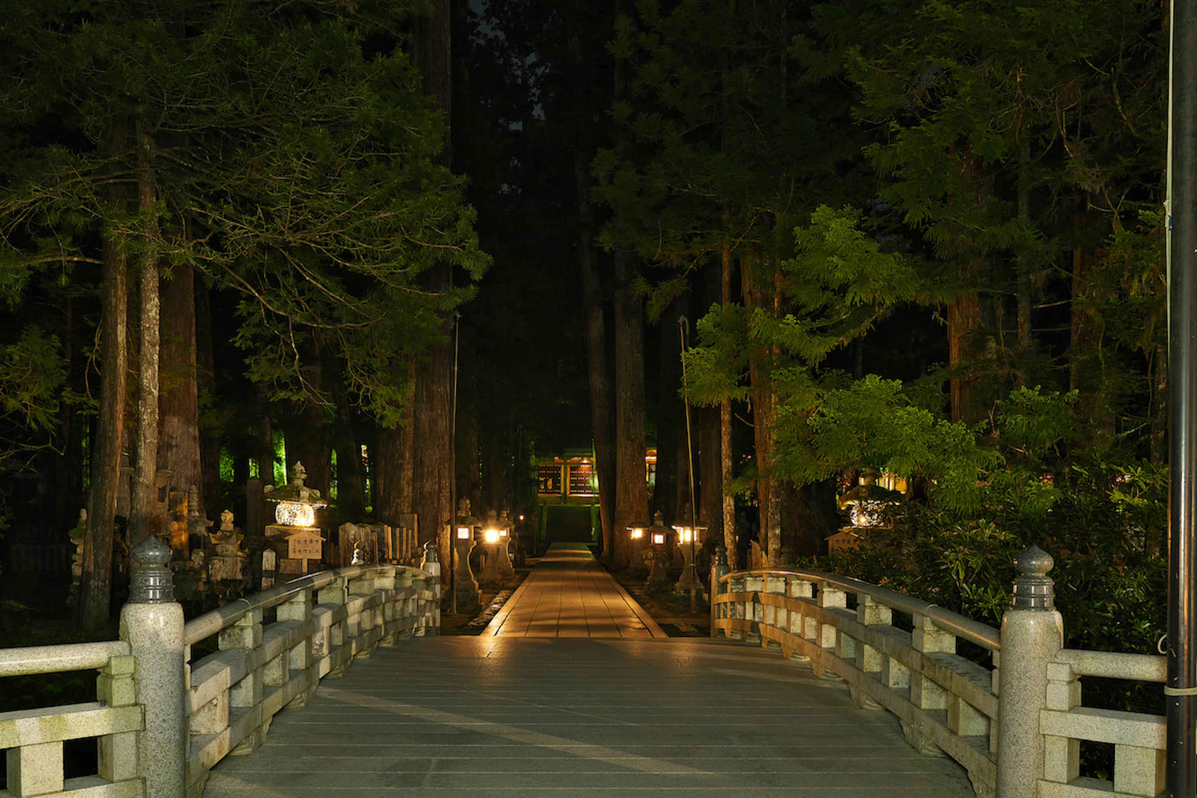 Journey to Koyasan and Okunoin Night Tour