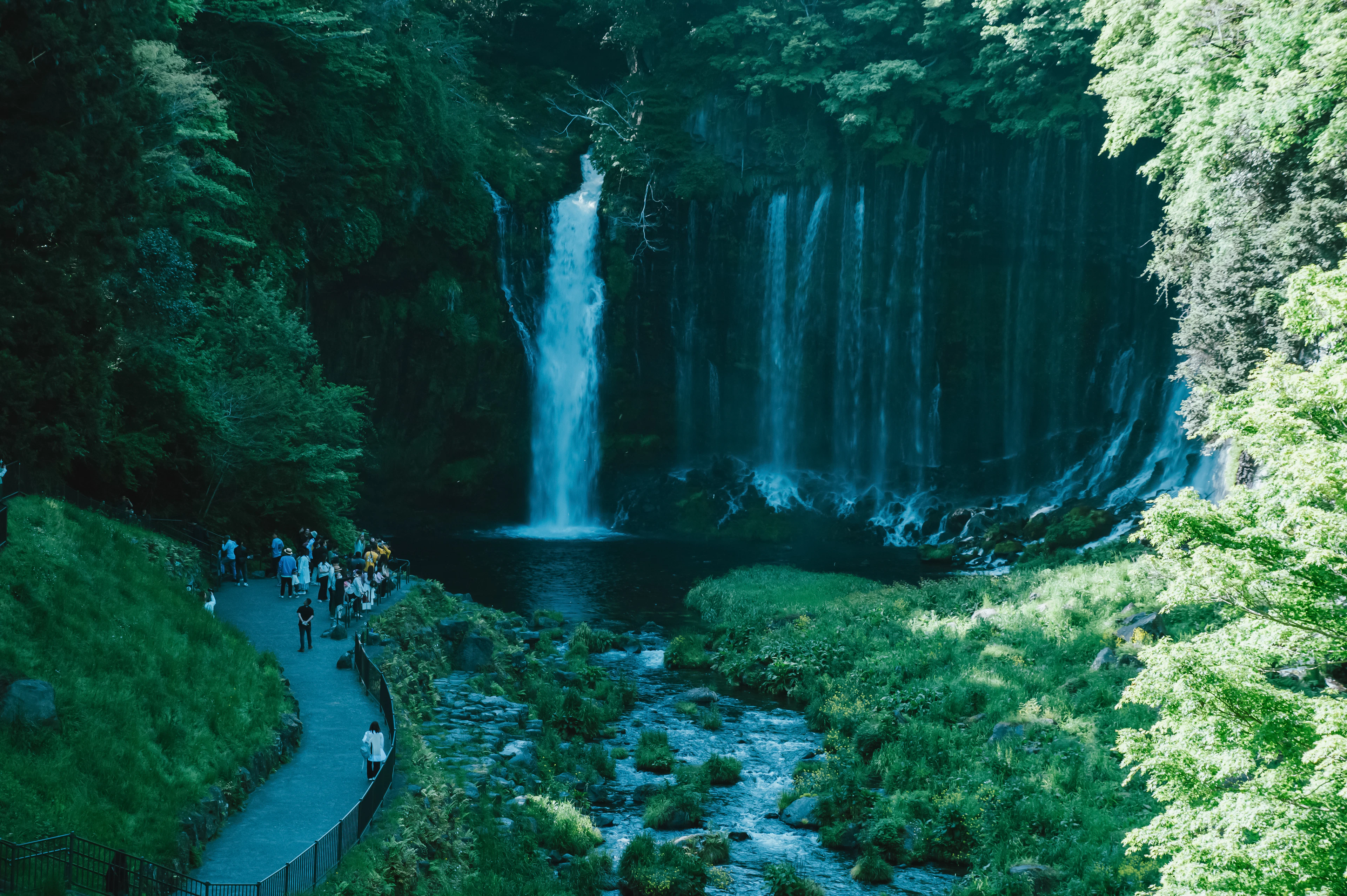 A Visit to a World Heritage Waterfall: Facing the Snowmelt from Mount Fuji — Shiraito Falls
